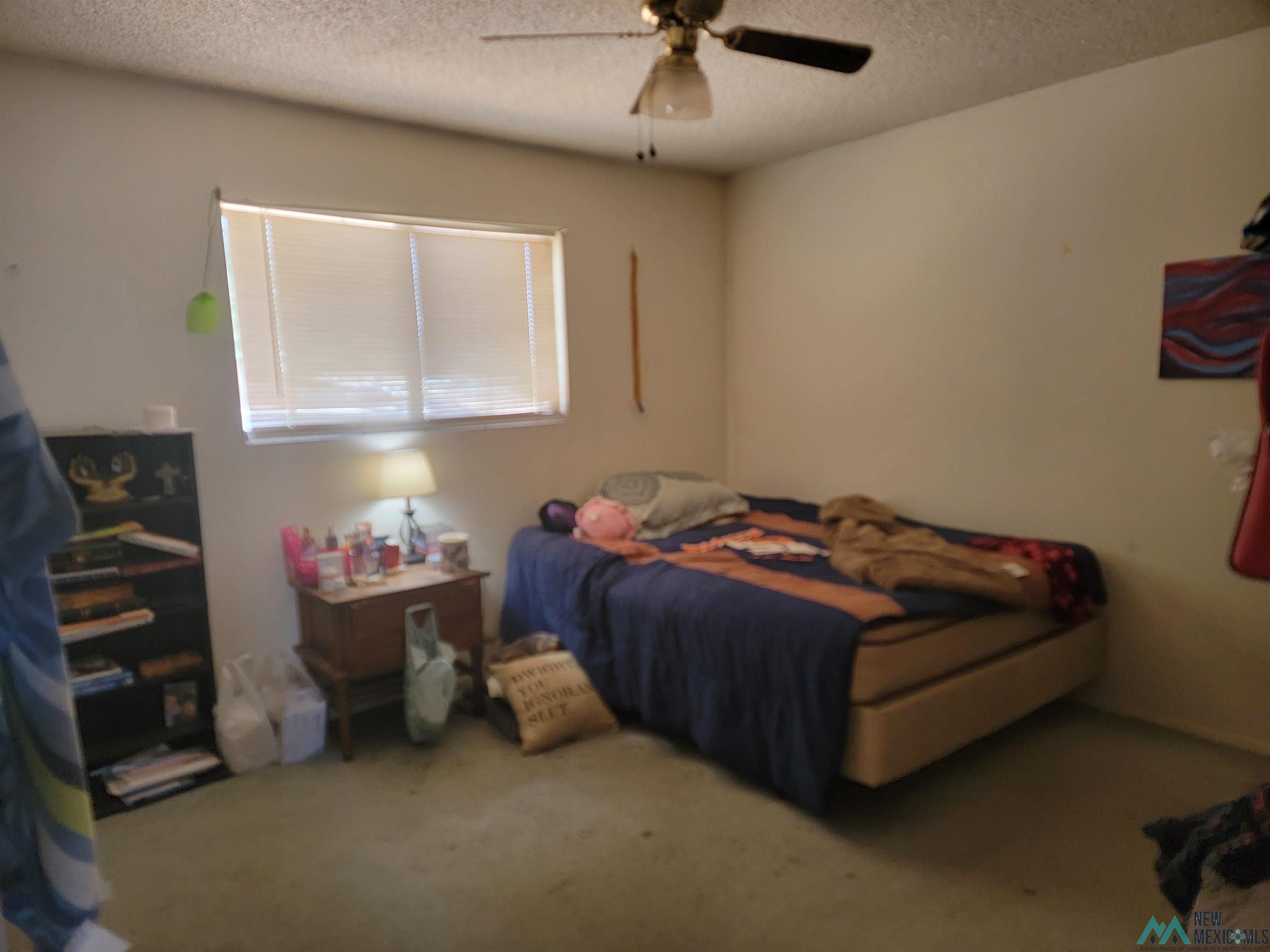 1103 Memory Lane, Deming, New Mexico image 6