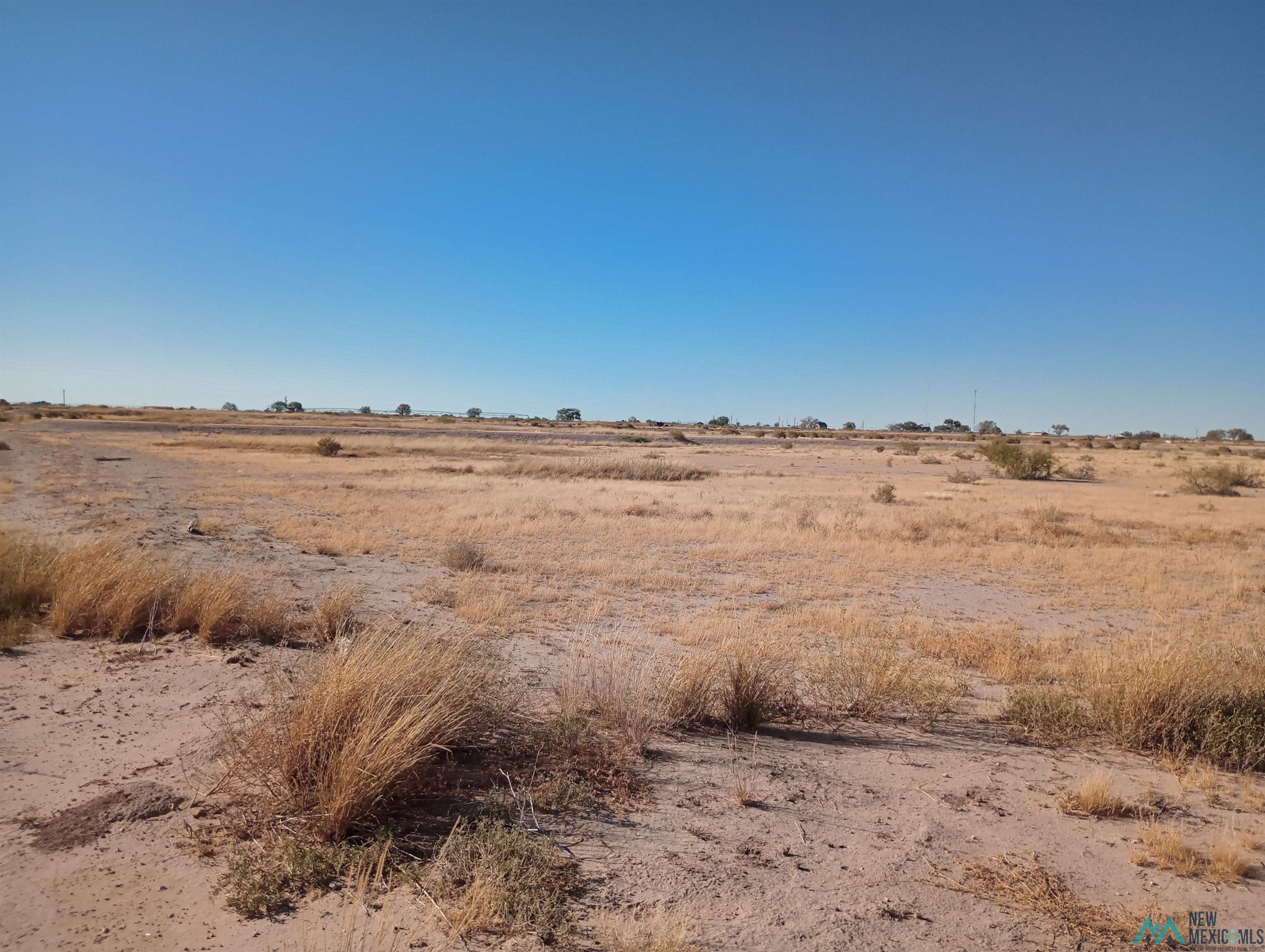 000 Wichita Road, Hagerman, New Mexico image 5