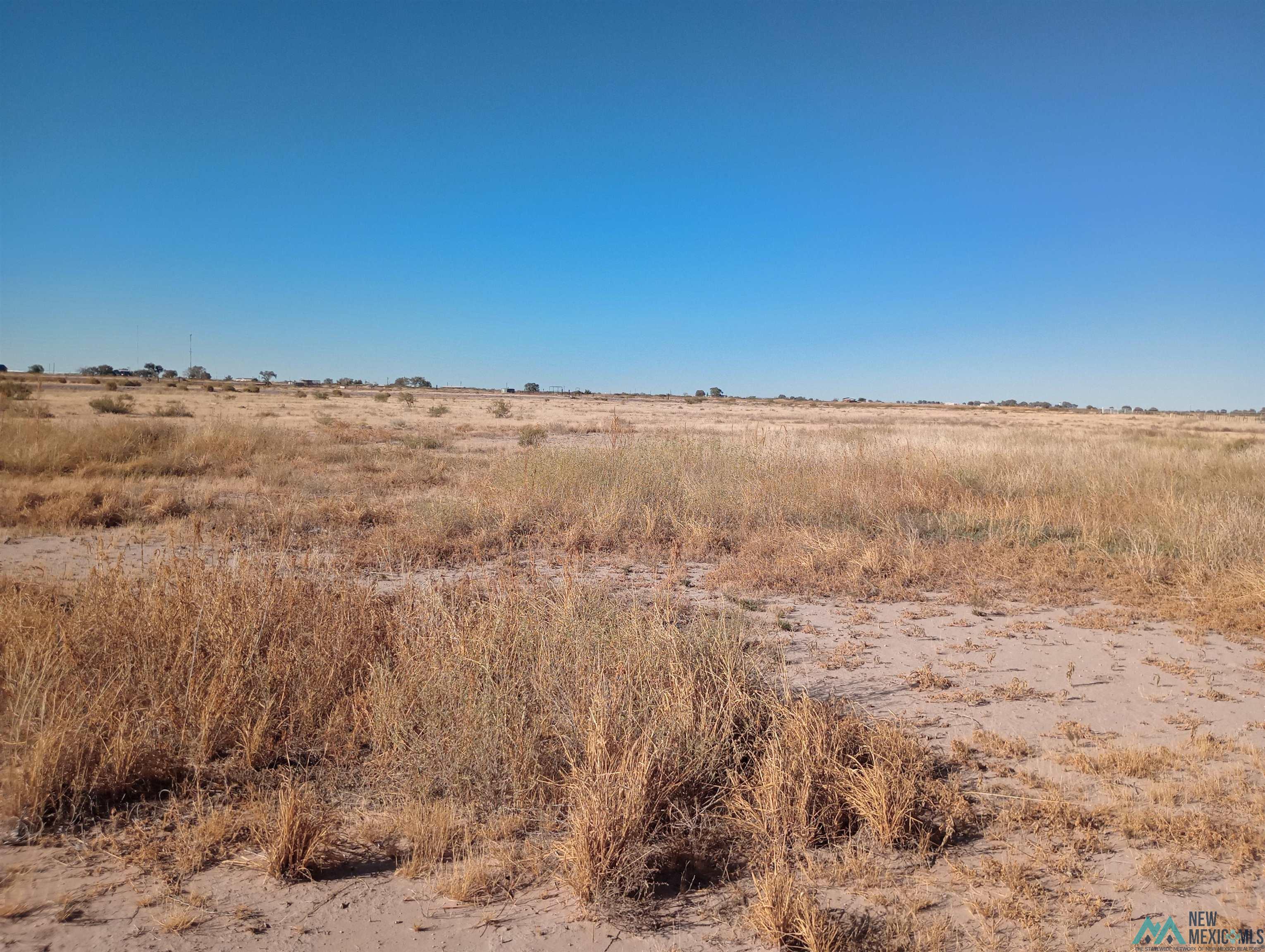 000 Wichita Road, Hagerman, New Mexico image 4