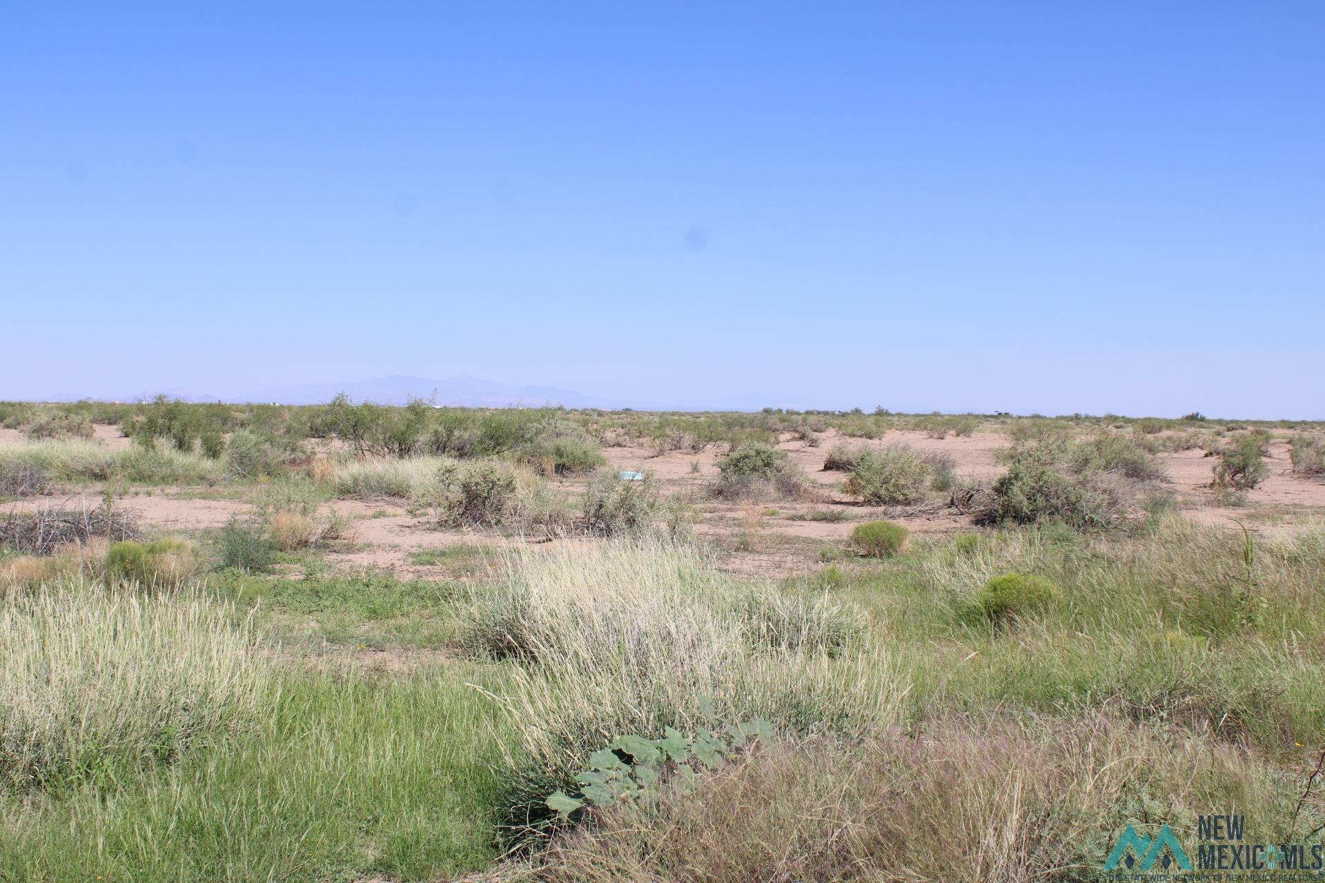 San Francisco Rd Se, Deming, Texas image 12