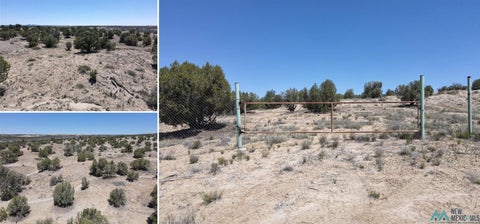 Vacant Land For Sale - NYA Road 3160<br/> San Juan County, Aztec, NM 87410