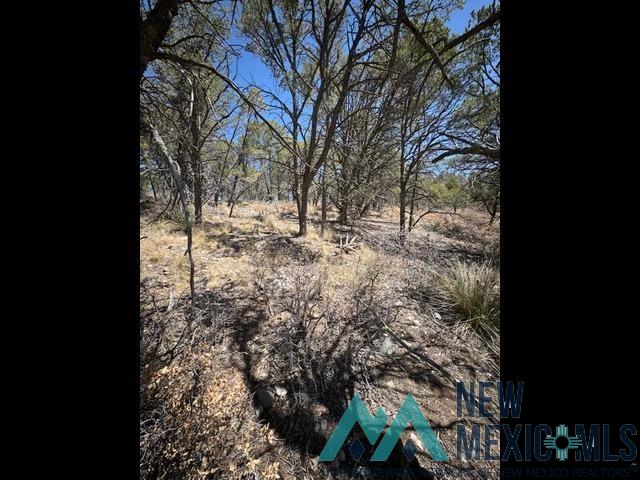 Lot 95 Wishita Drive, Timberon, New Mexico image 1