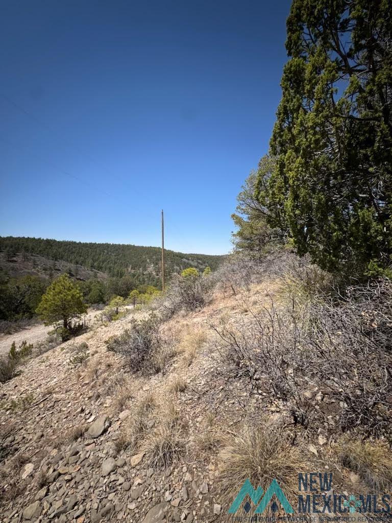 Lot 95 Wishita Drive, Timberon, New Mexico image 5