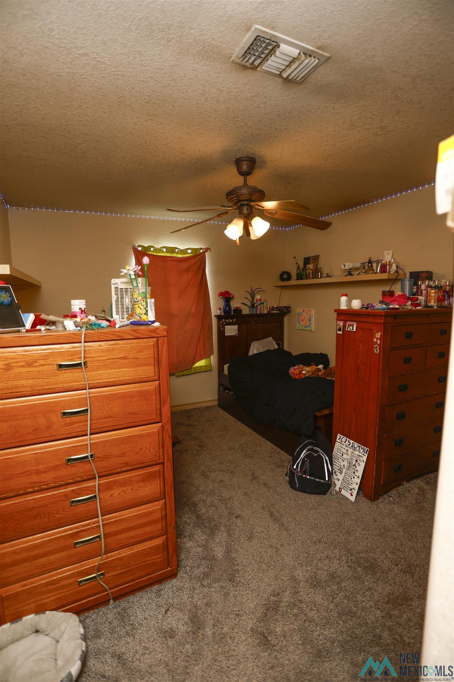4106 Old Cavern Highway, Carlsbad, Texas image 9