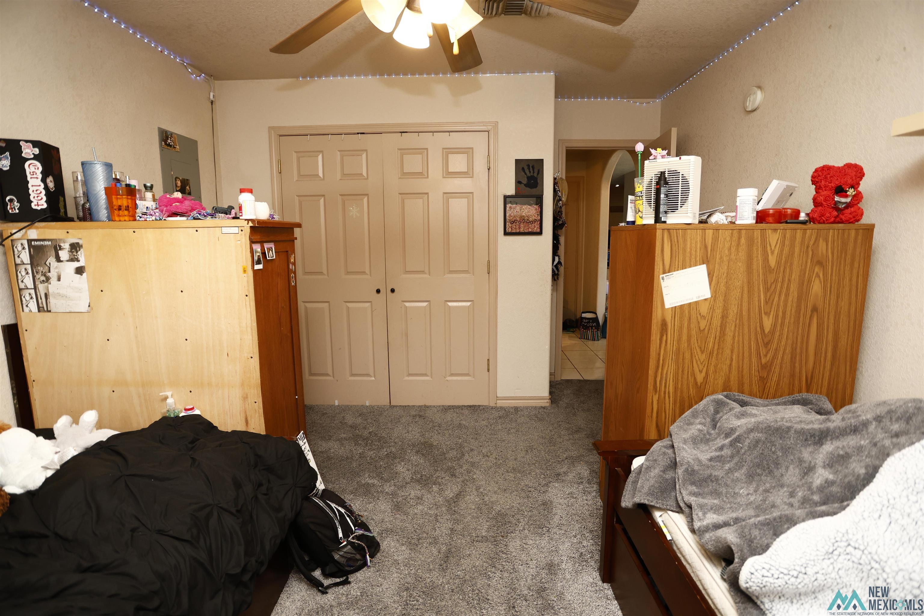 4106 Old Cavern Highway, Carlsbad, Texas image 7