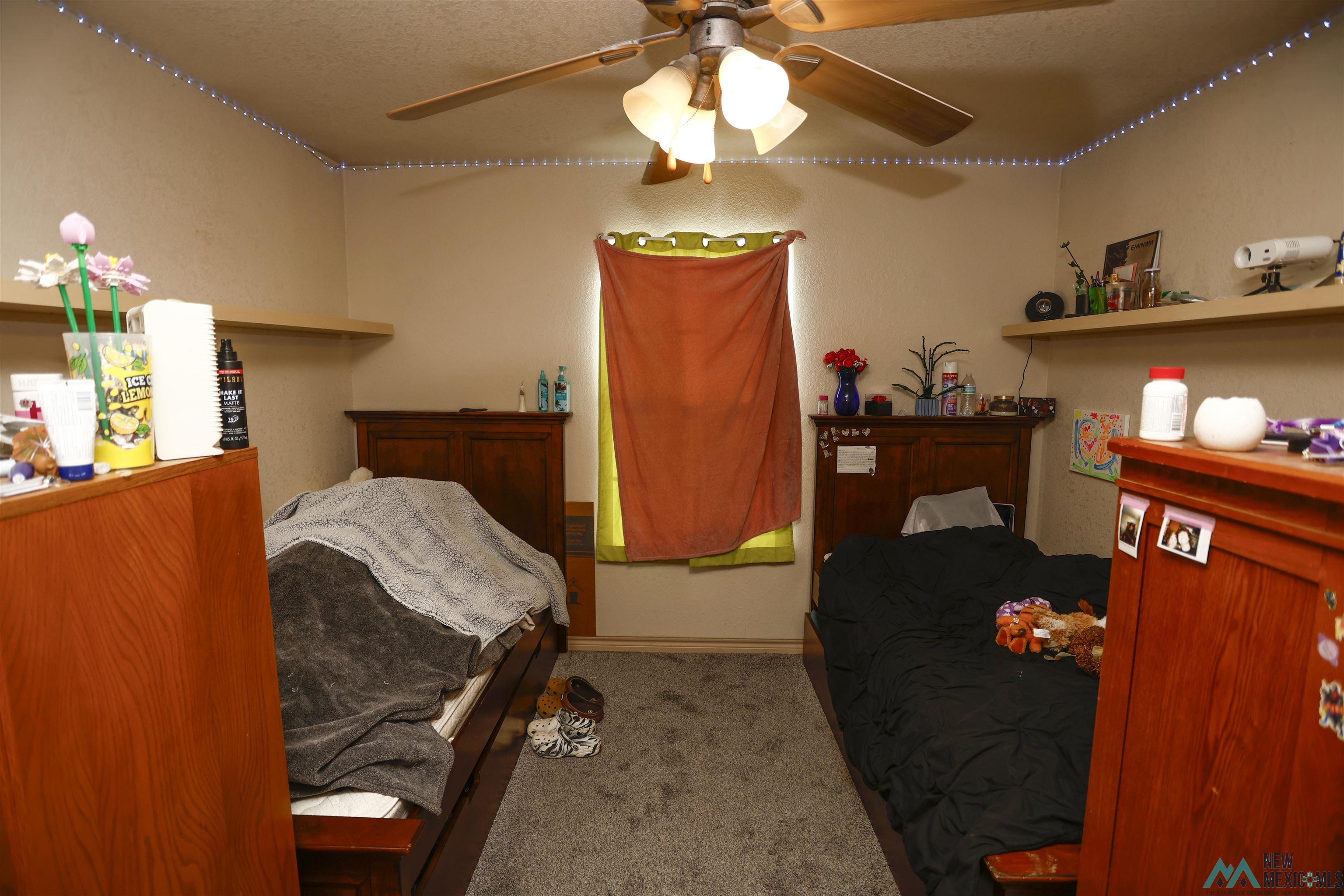 4106 Old Cavern Highway, Carlsbad, Texas image 8