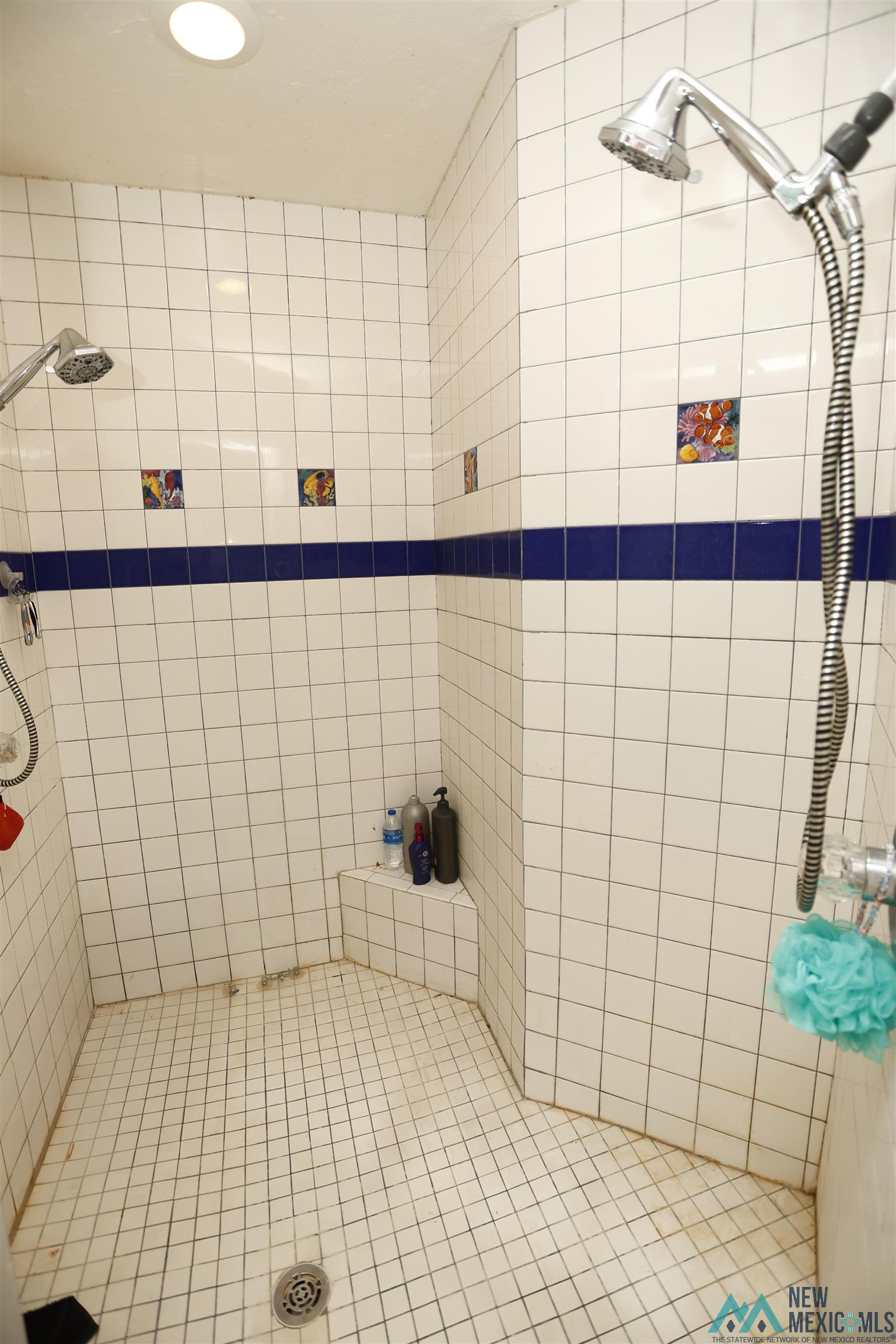 4106 Old Cavern Highway, Carlsbad, Texas image 17