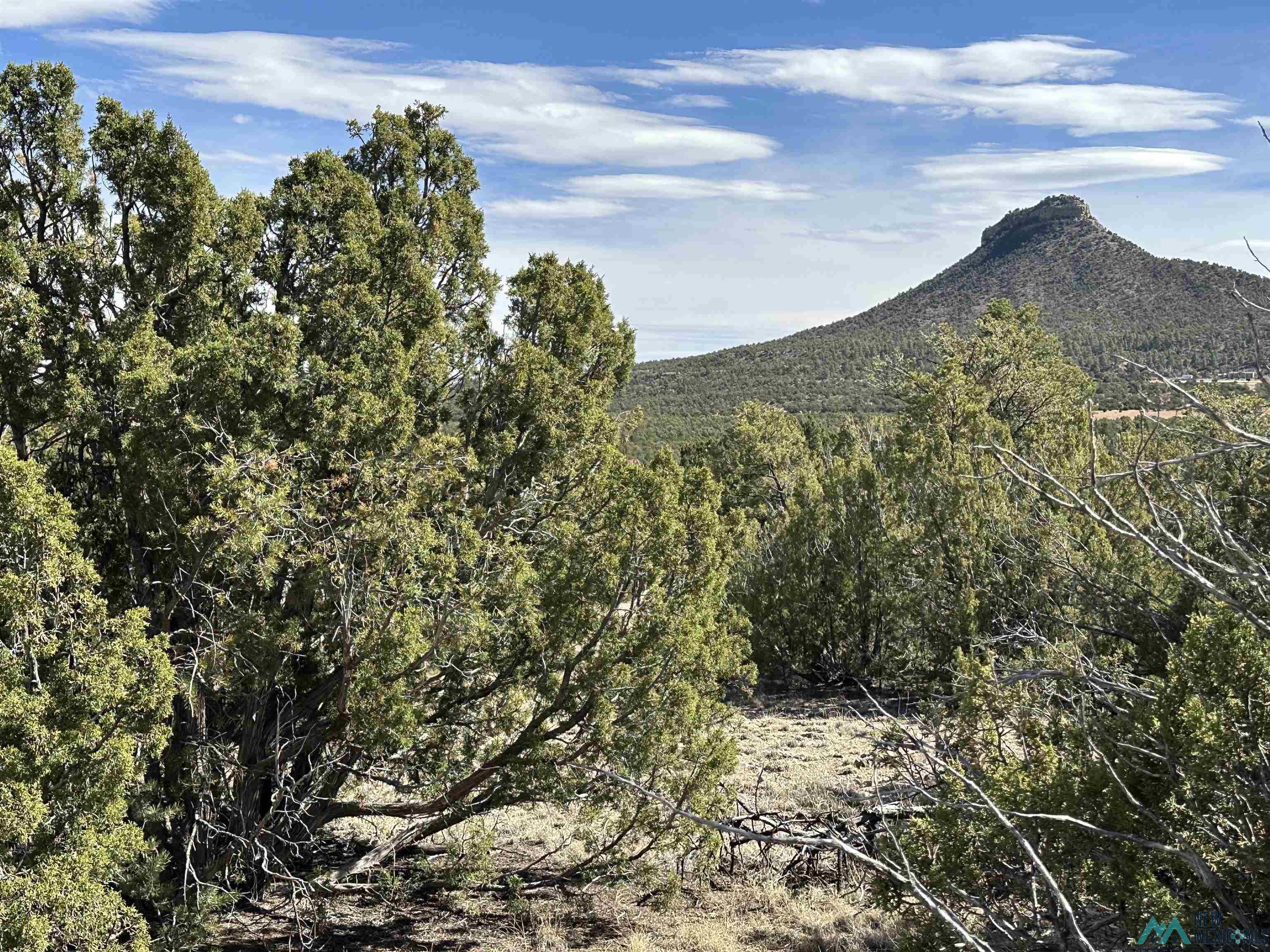 5.045 Acres Frontage Road 2116 Road, Serafina, New Mexico image 1