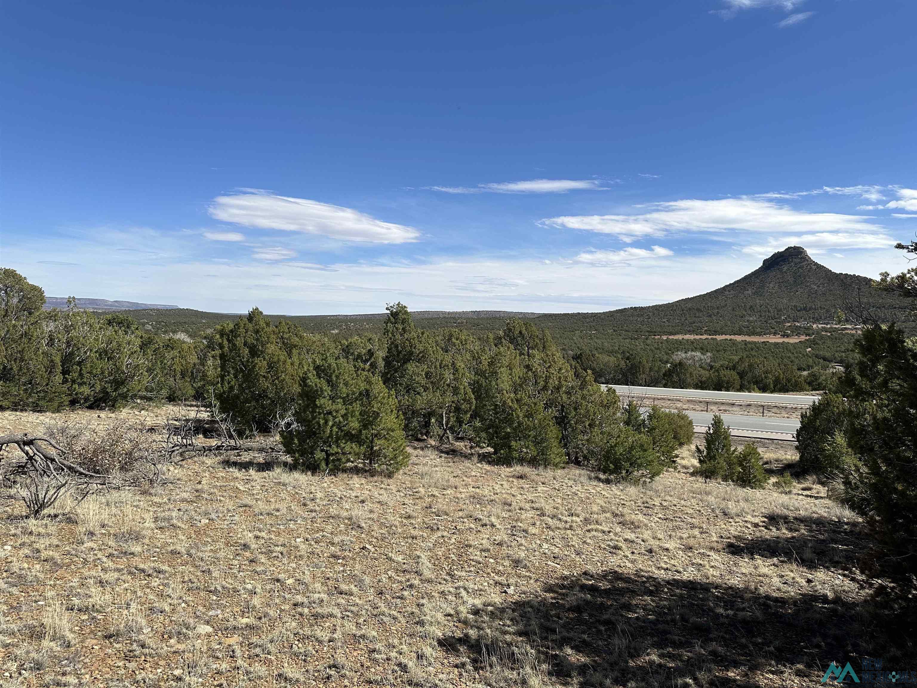 5.045 Acres Frontage Road 2116 Road, Serafina, New Mexico image 2