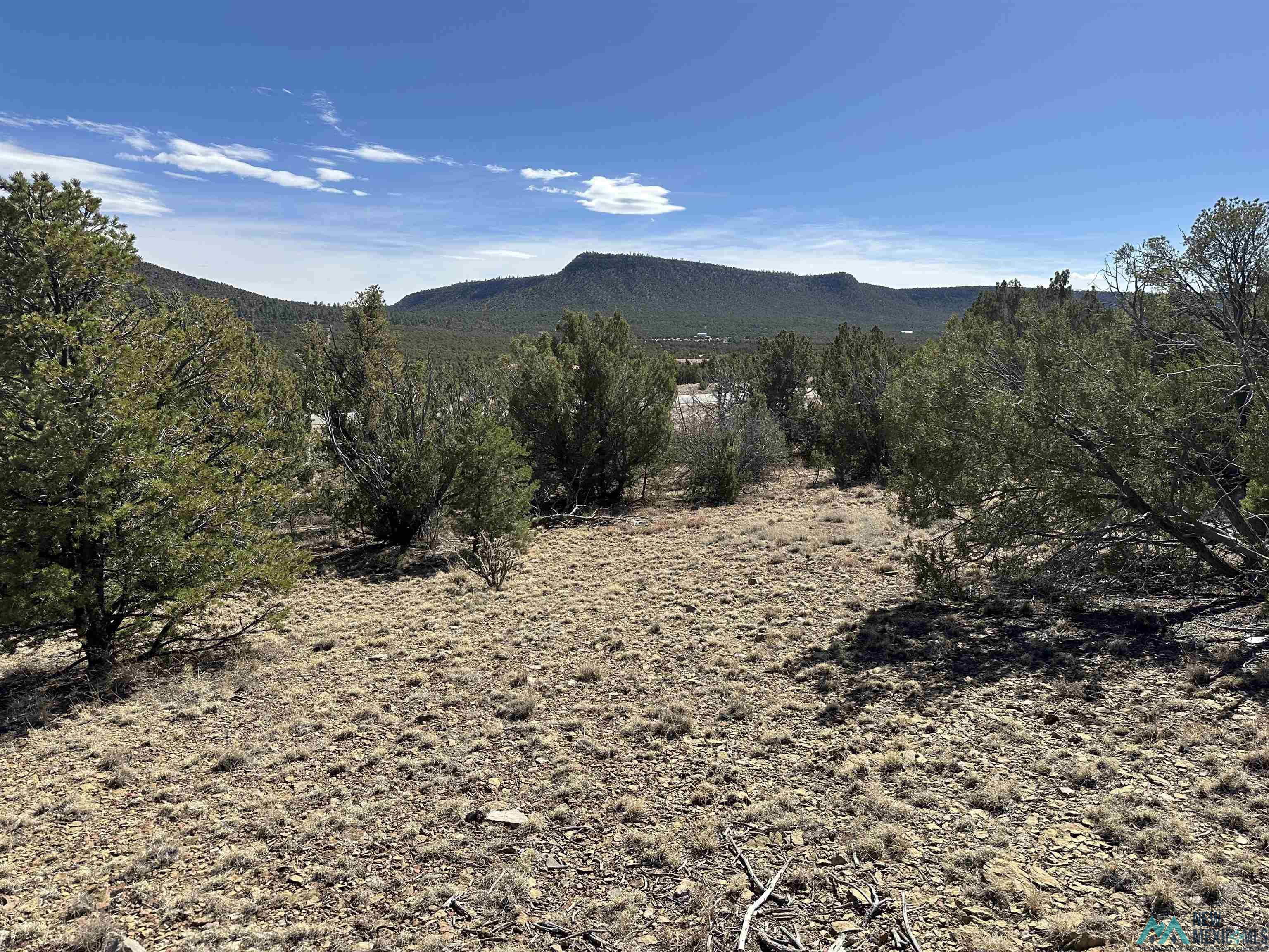 5.045 Acres Frontage Road 2116 Road, Serafina, New Mexico image 3