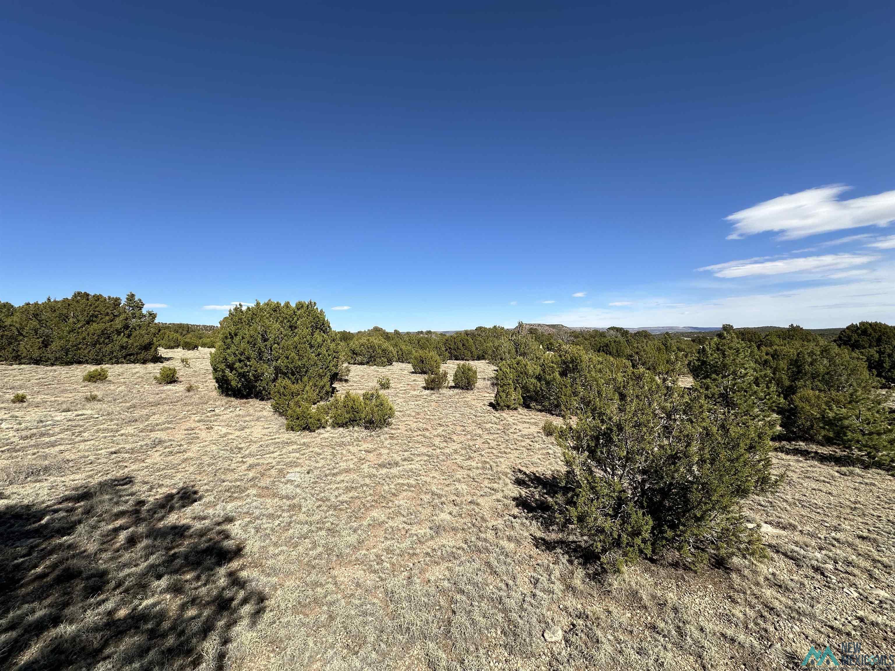 5.045 Acres Frontage Road 2116 Road, Serafina, New Mexico image 5