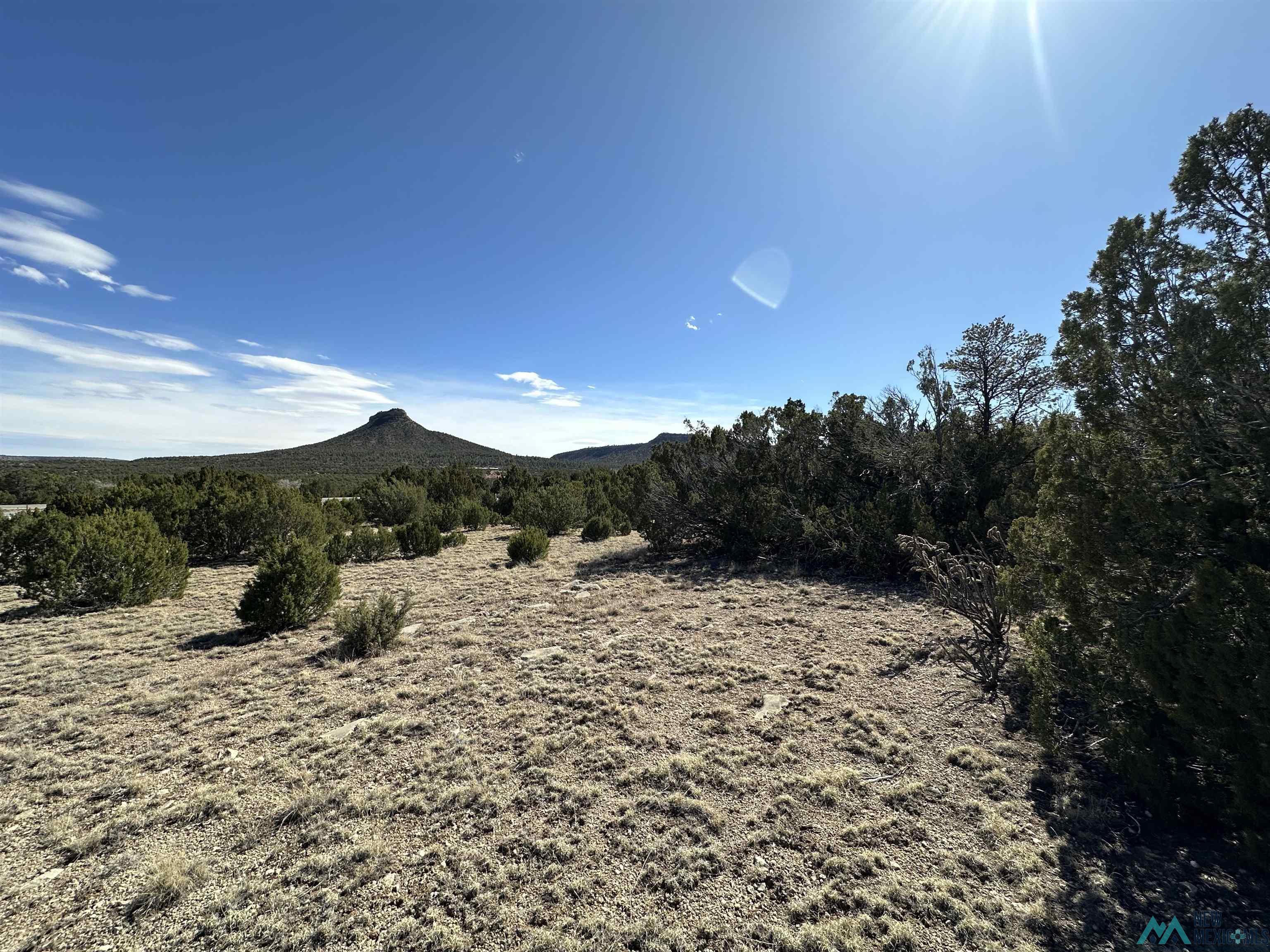 5.045 Acres Frontage Road 2116 Road, Serafina, New Mexico image 8