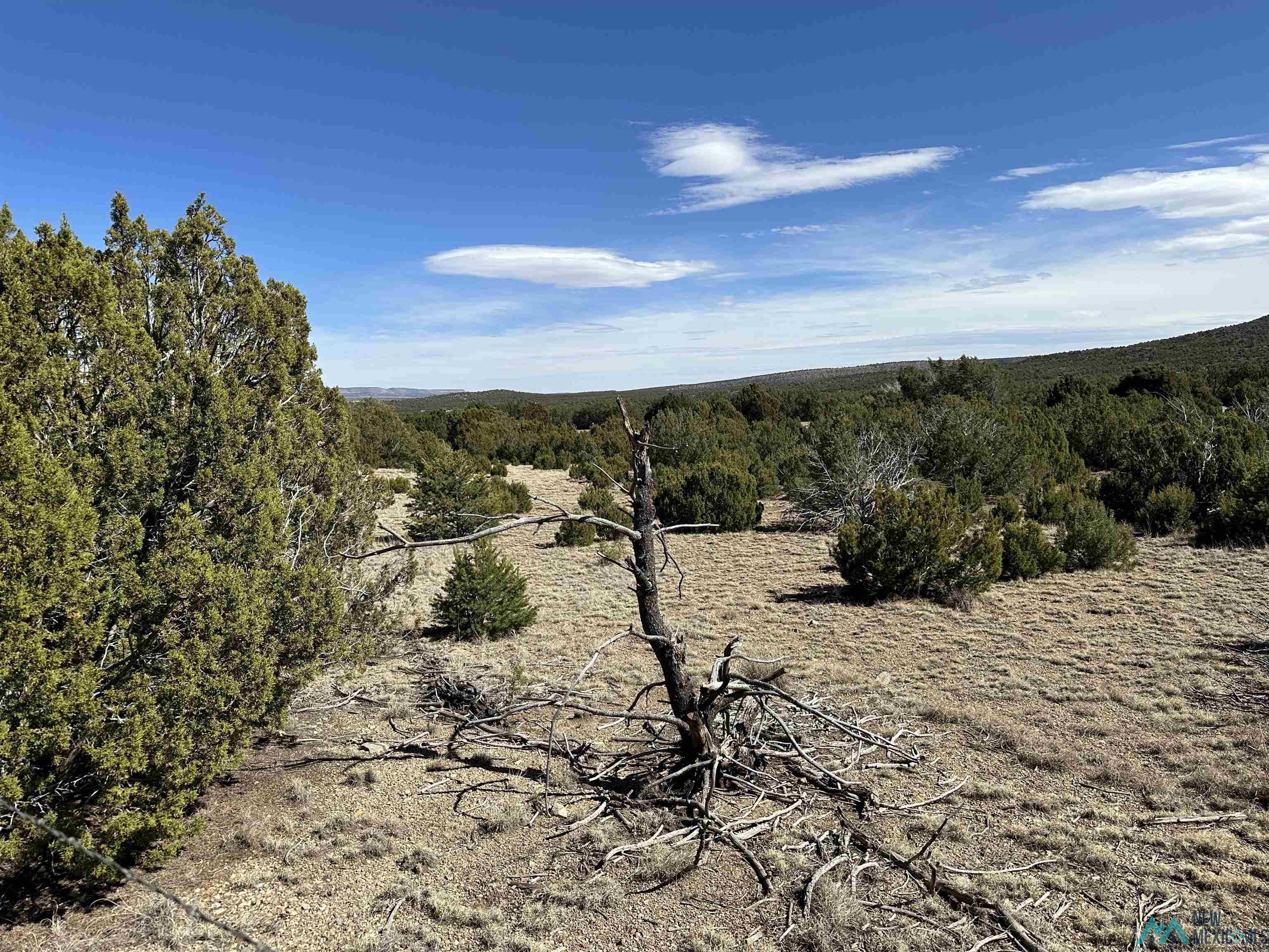 5.045 Acres Frontage Road 2116 Road, Serafina, New Mexico image 6