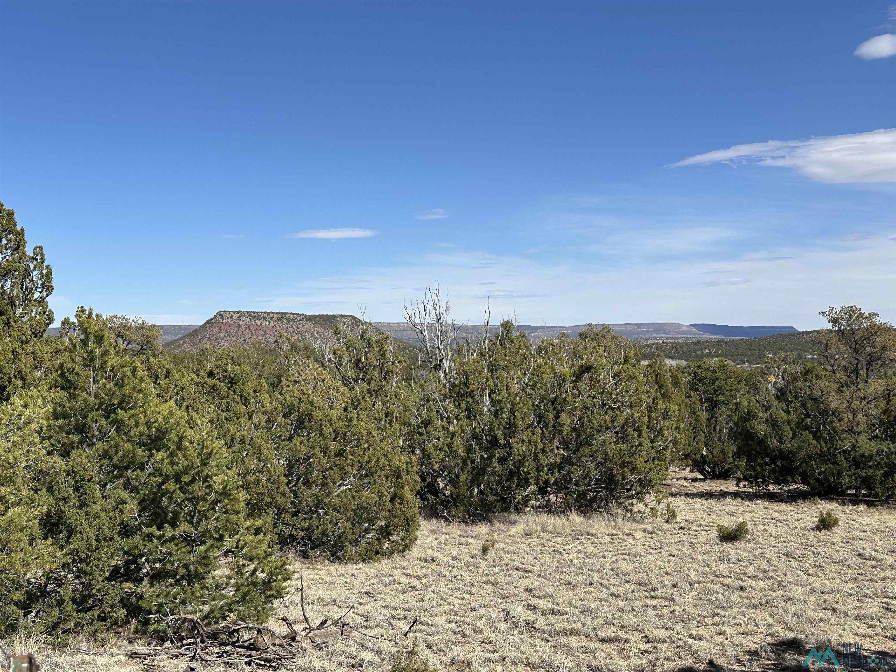 5.045 Acres Frontage Road 2116 Road, Serafina, New Mexico image 7