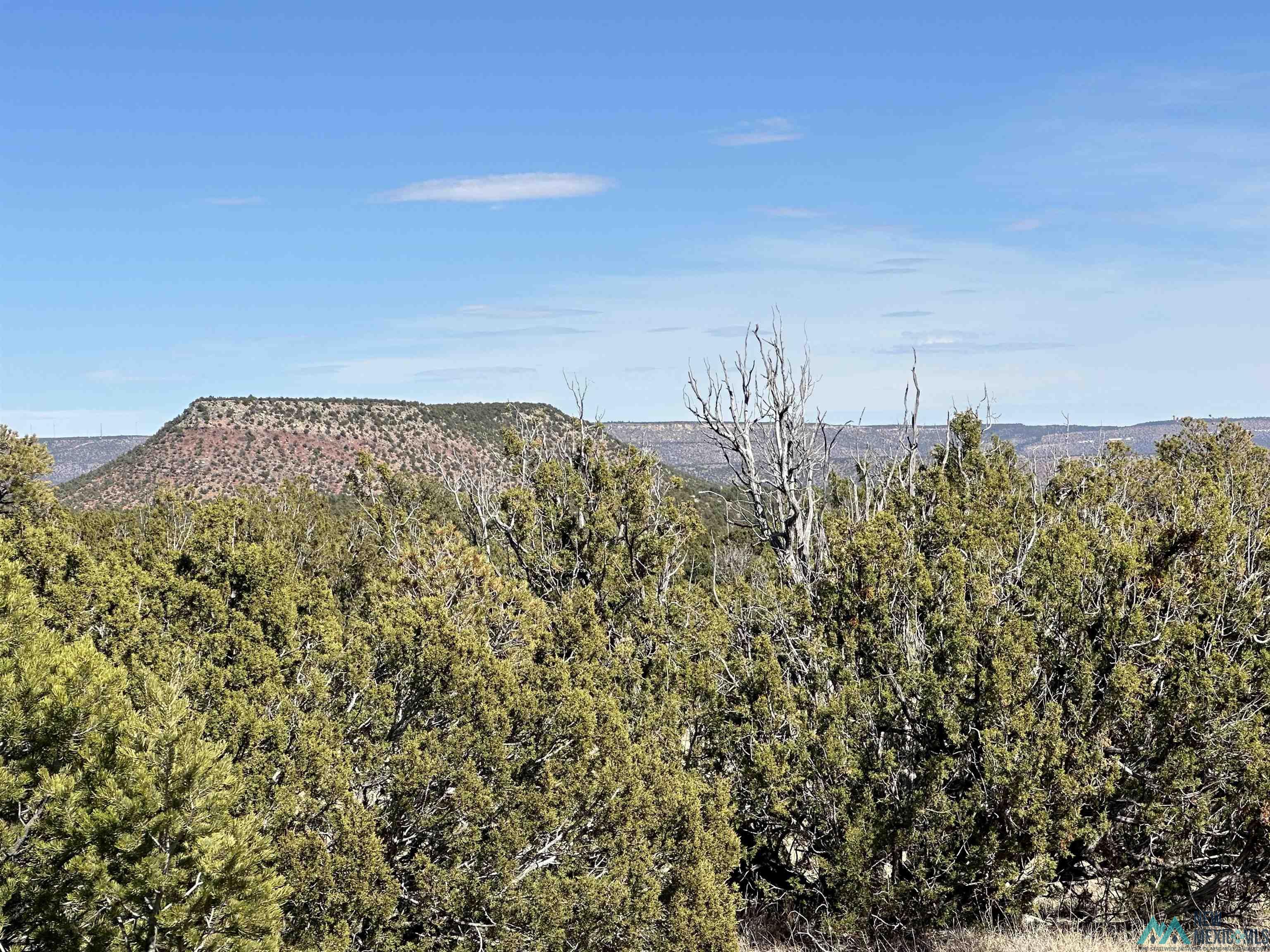 5.045 Acres Frontage Road 2116 Road, Serafina, New Mexico image 4