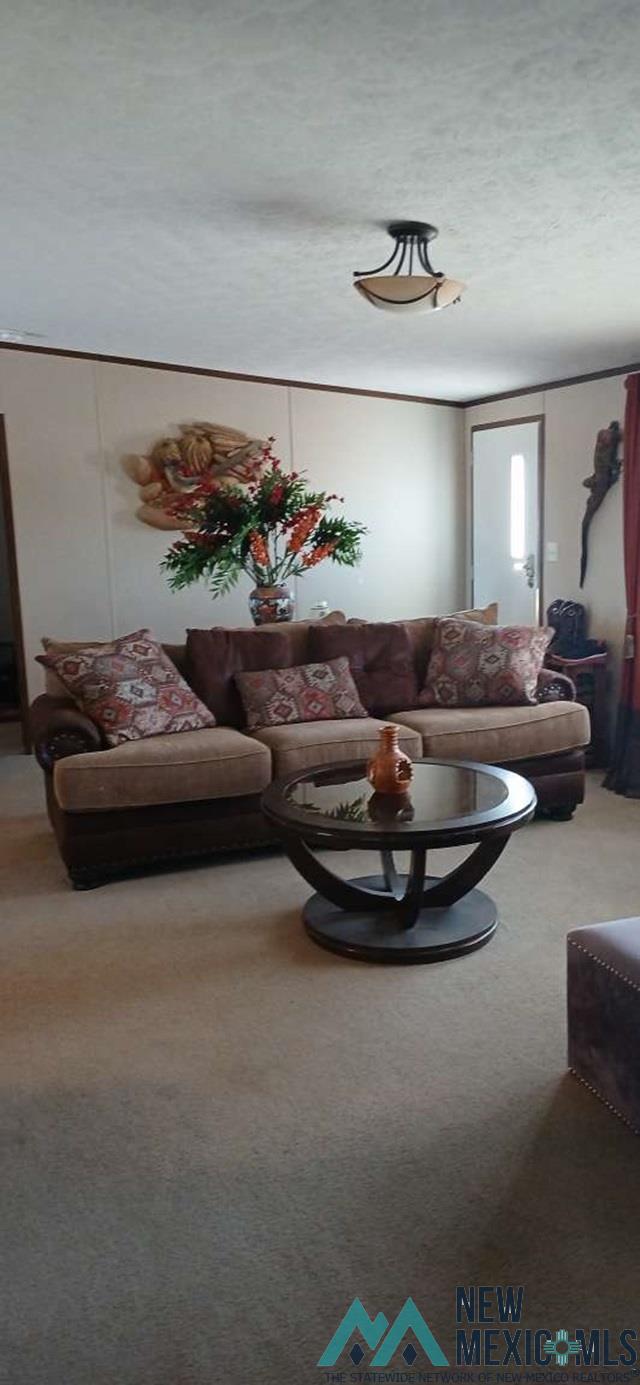 6231 S Thomason Road, Carlsbad, Texas image 13