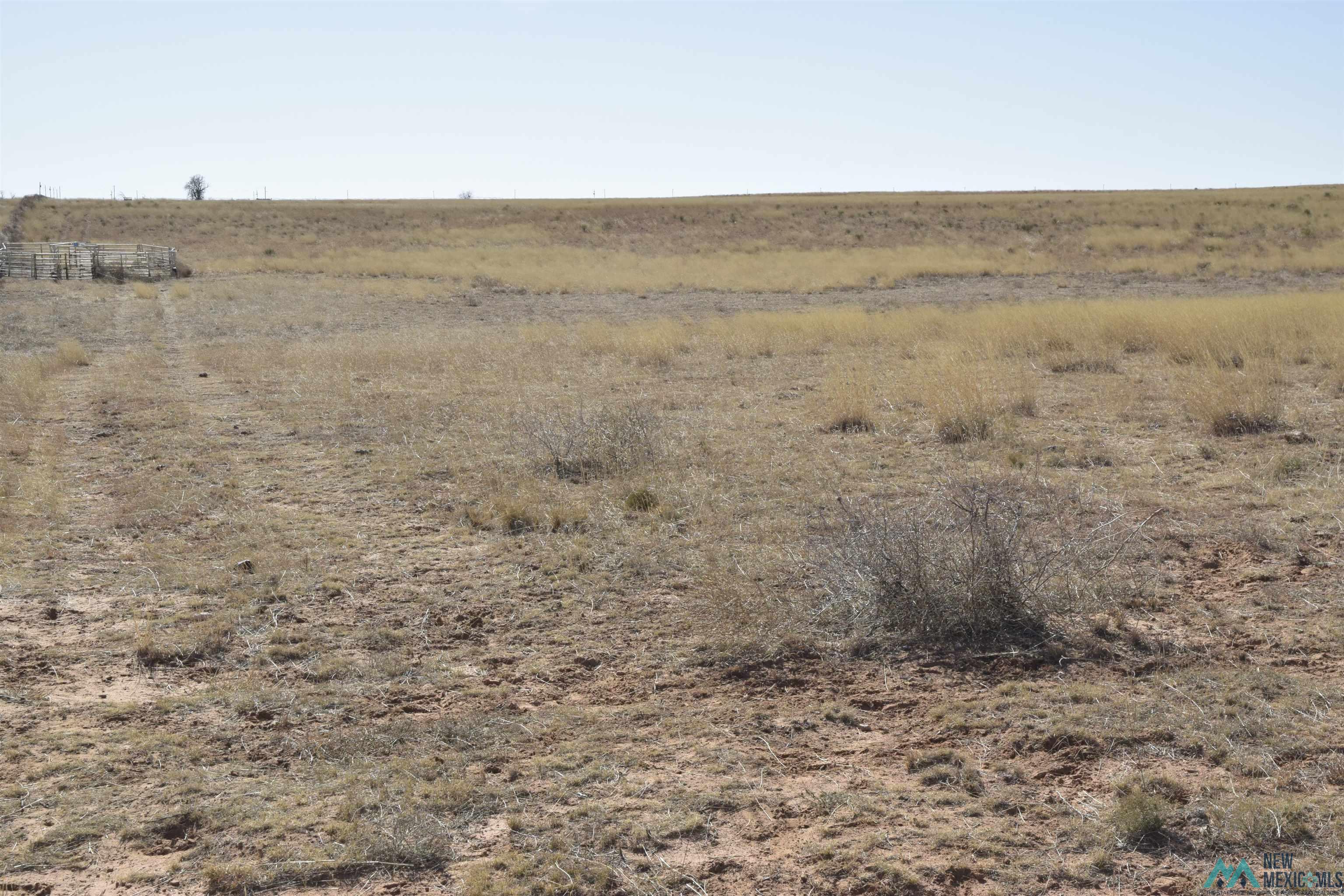 3260 Nm 114, Causey, New Mexico image 32