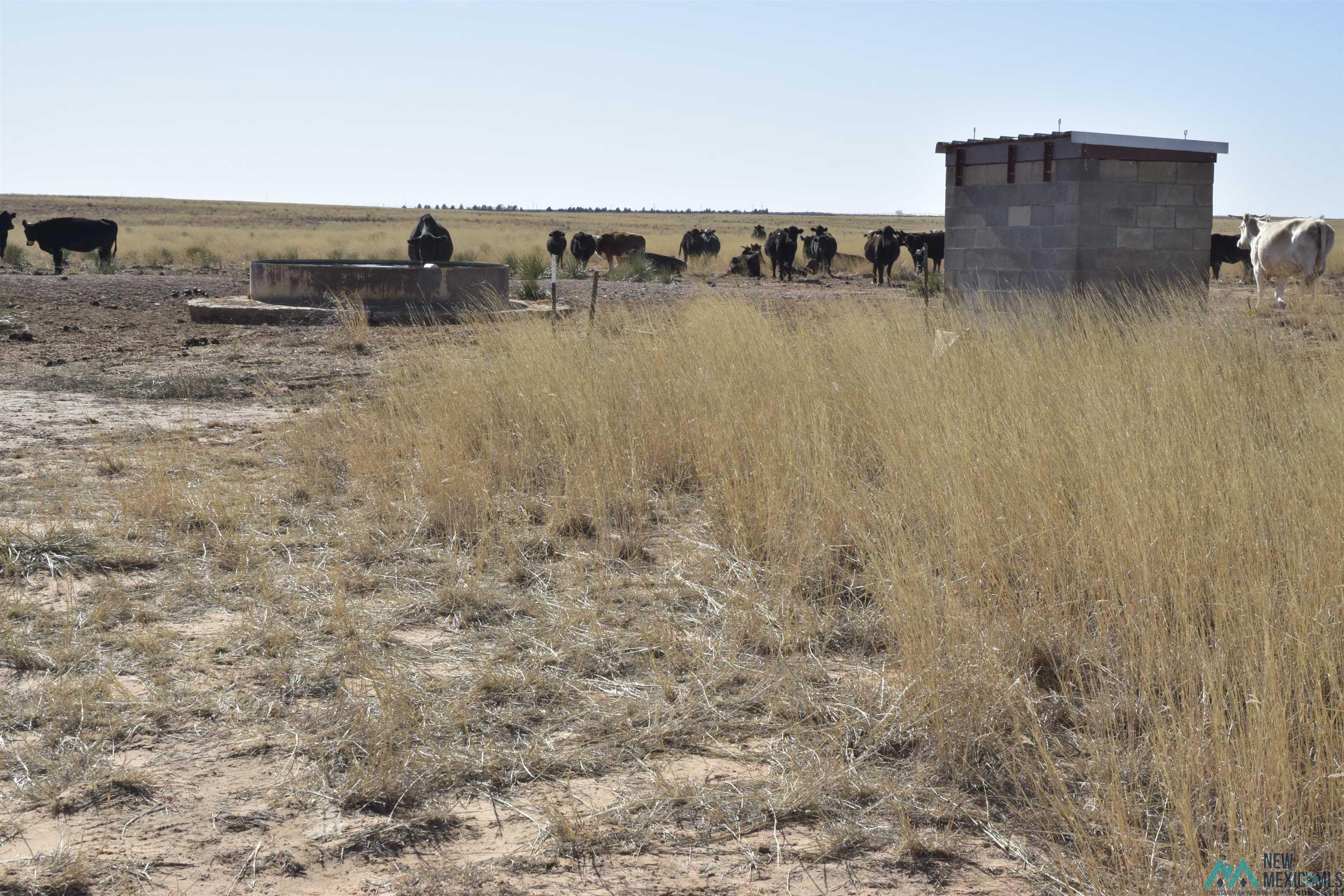 3260 Nm 114, Causey, New Mexico image 36