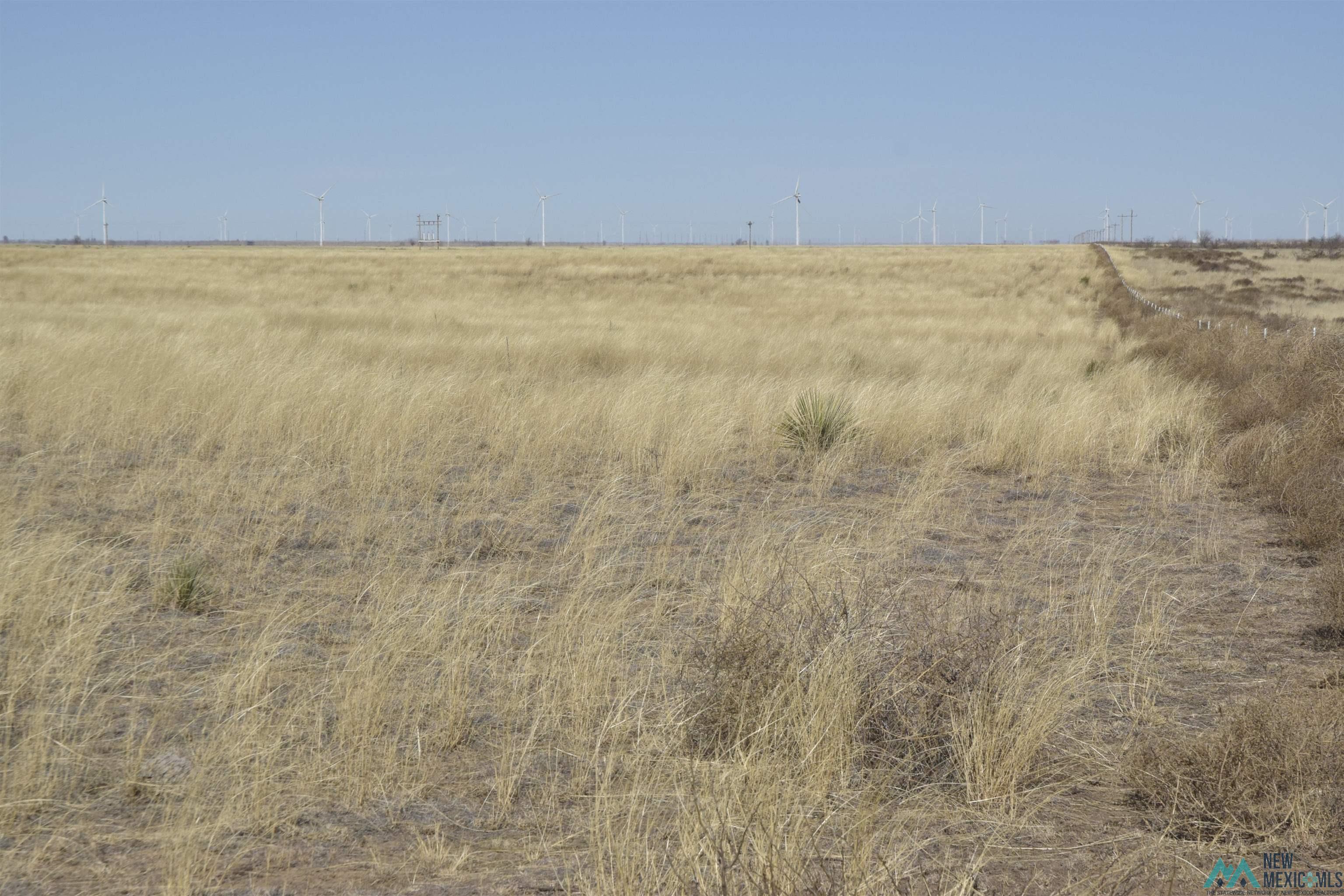 3260 Nm 114, Causey, New Mexico image 29