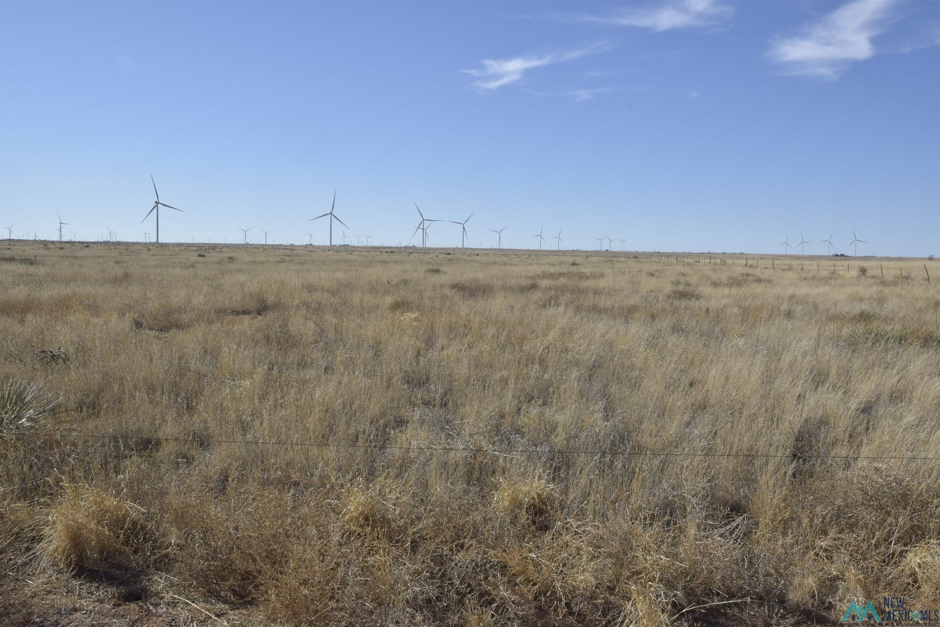 3260 Nm 114, Causey, New Mexico image 11