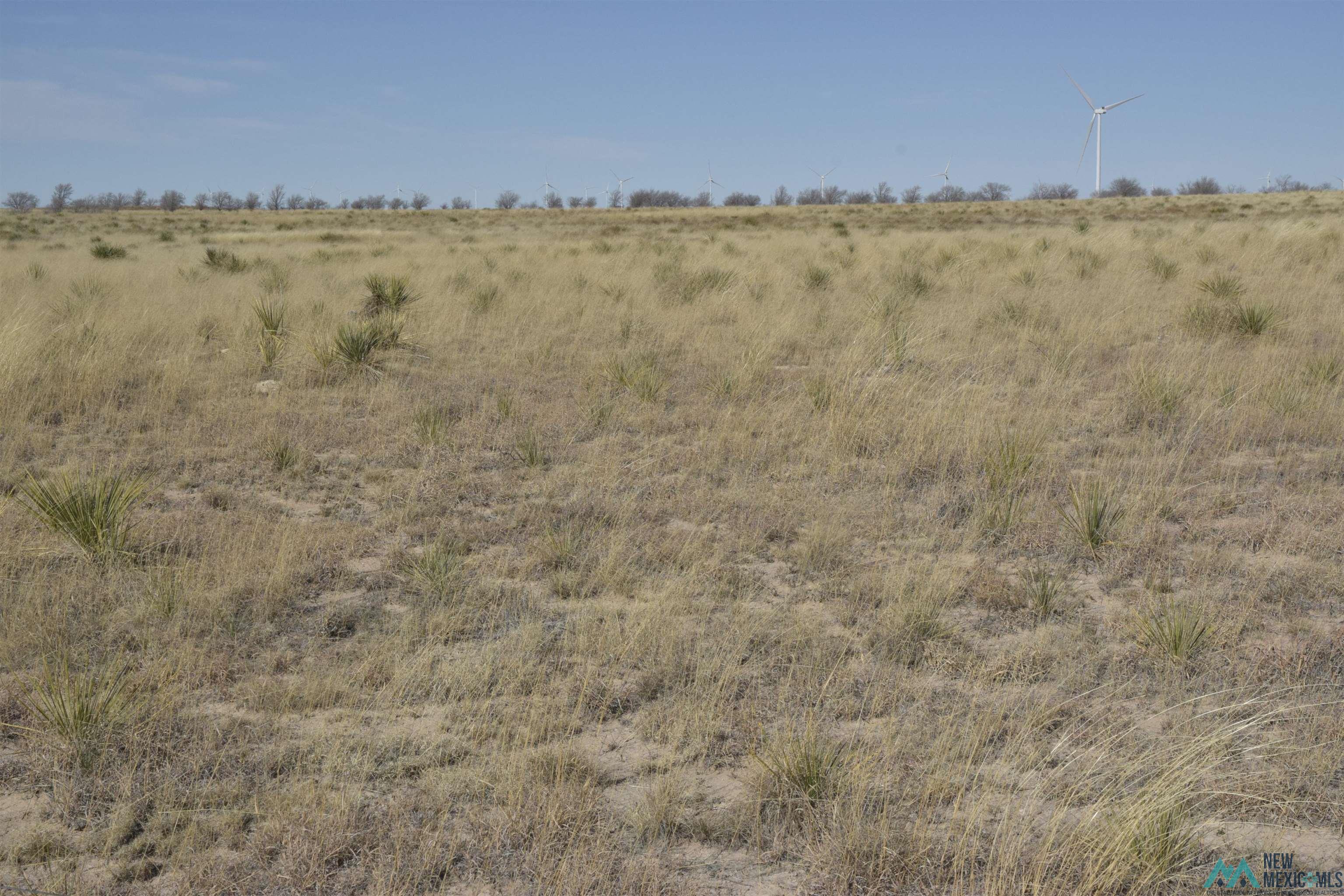 3260 Nm 114, Causey, New Mexico image 31