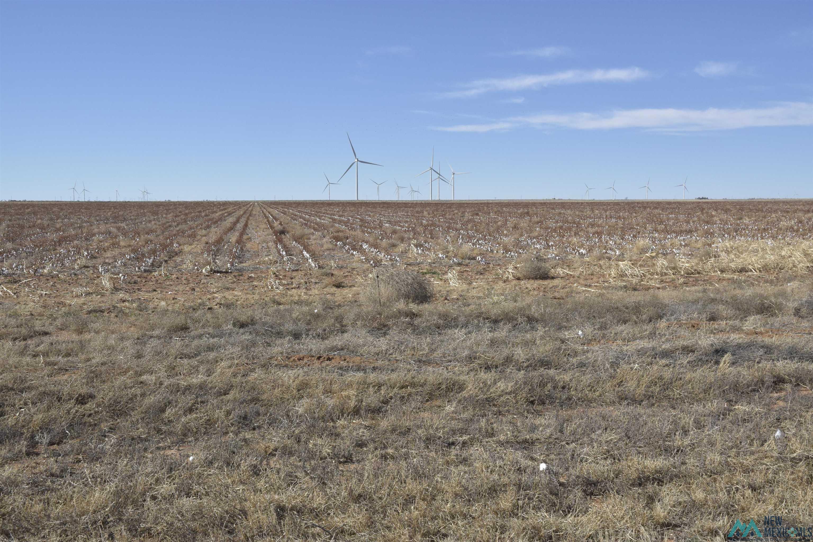 3260 Nm 114, Causey, New Mexico image 8