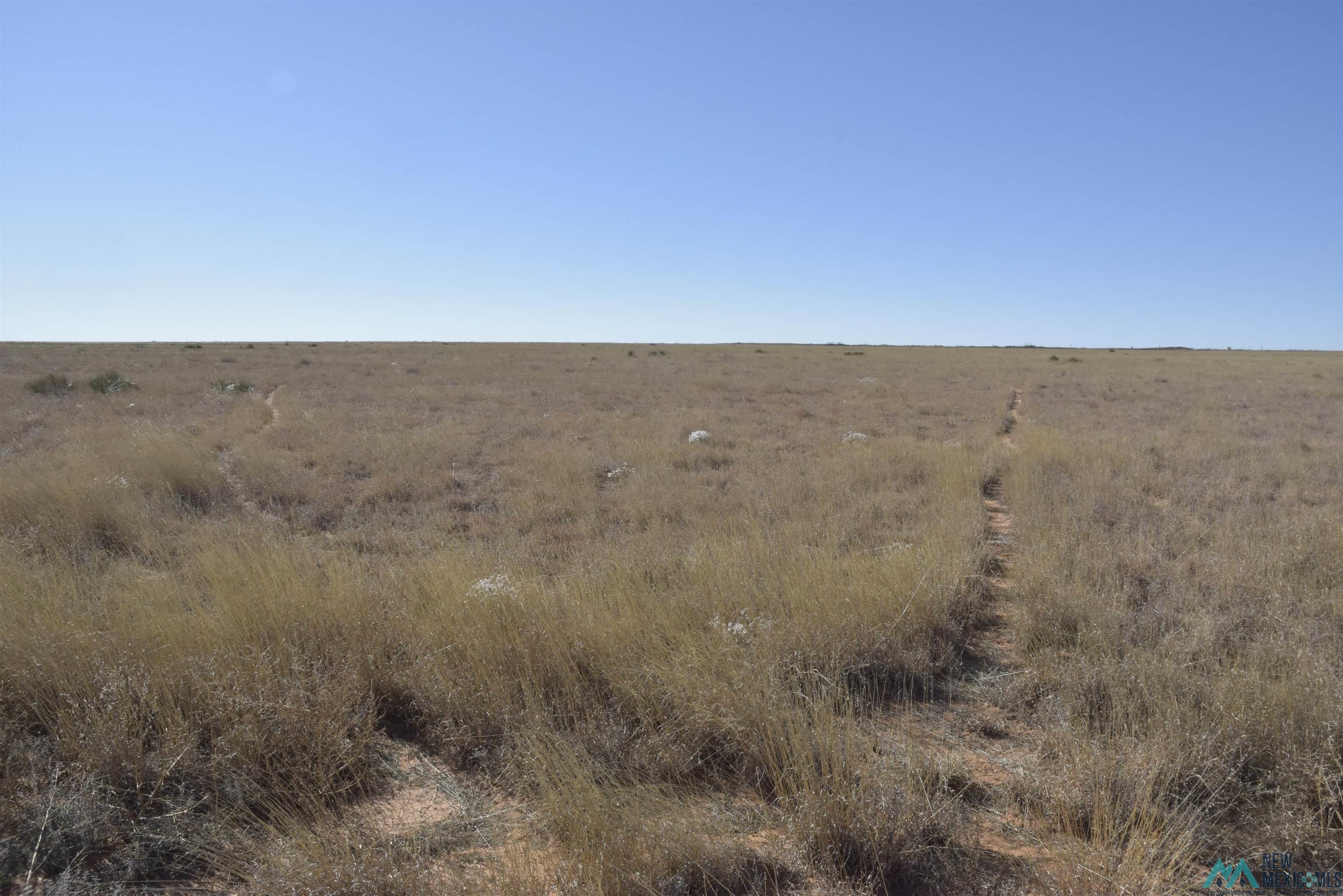 3260 Nm 114, Causey, New Mexico image 19