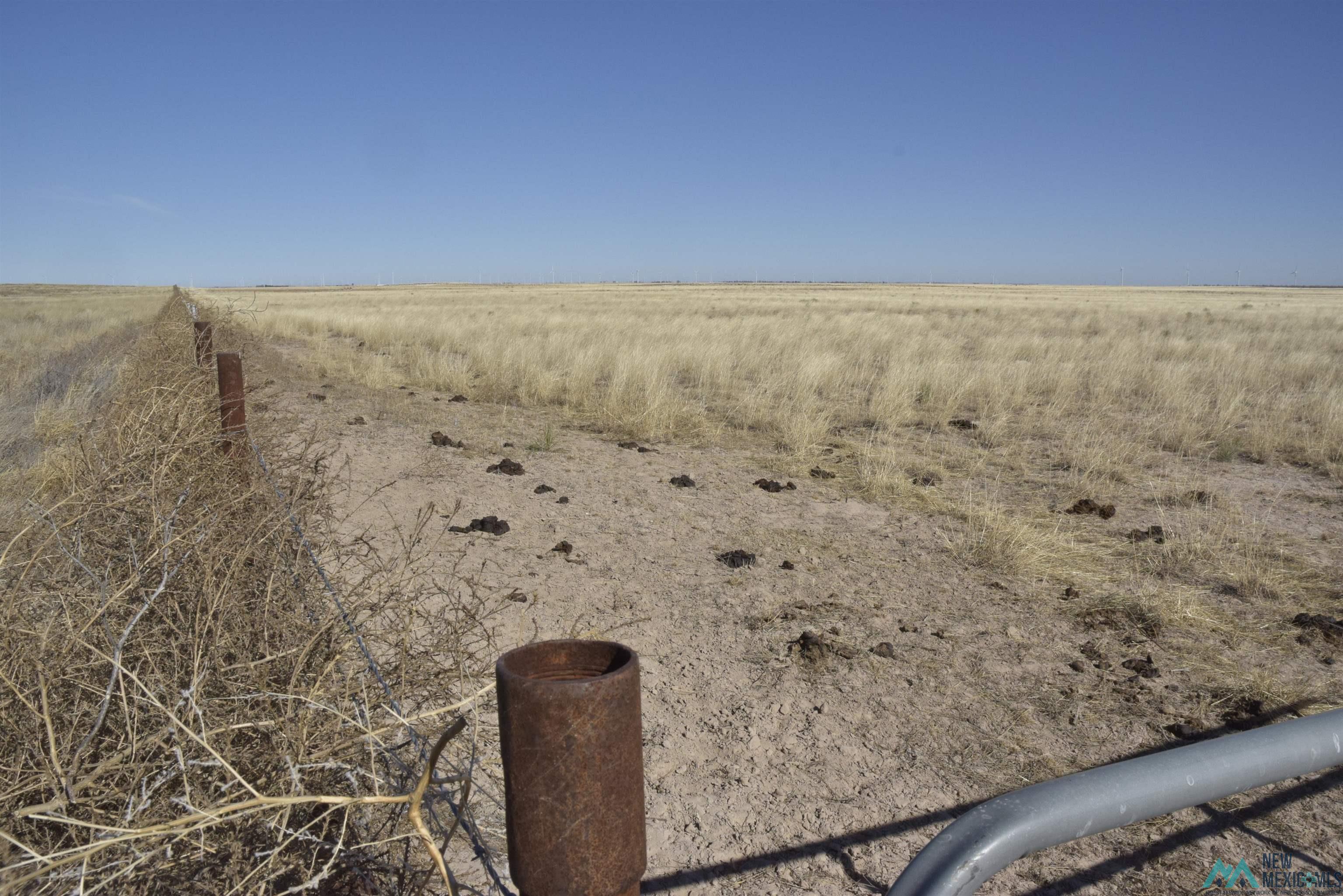 3260 Nm 114, Causey, New Mexico image 25