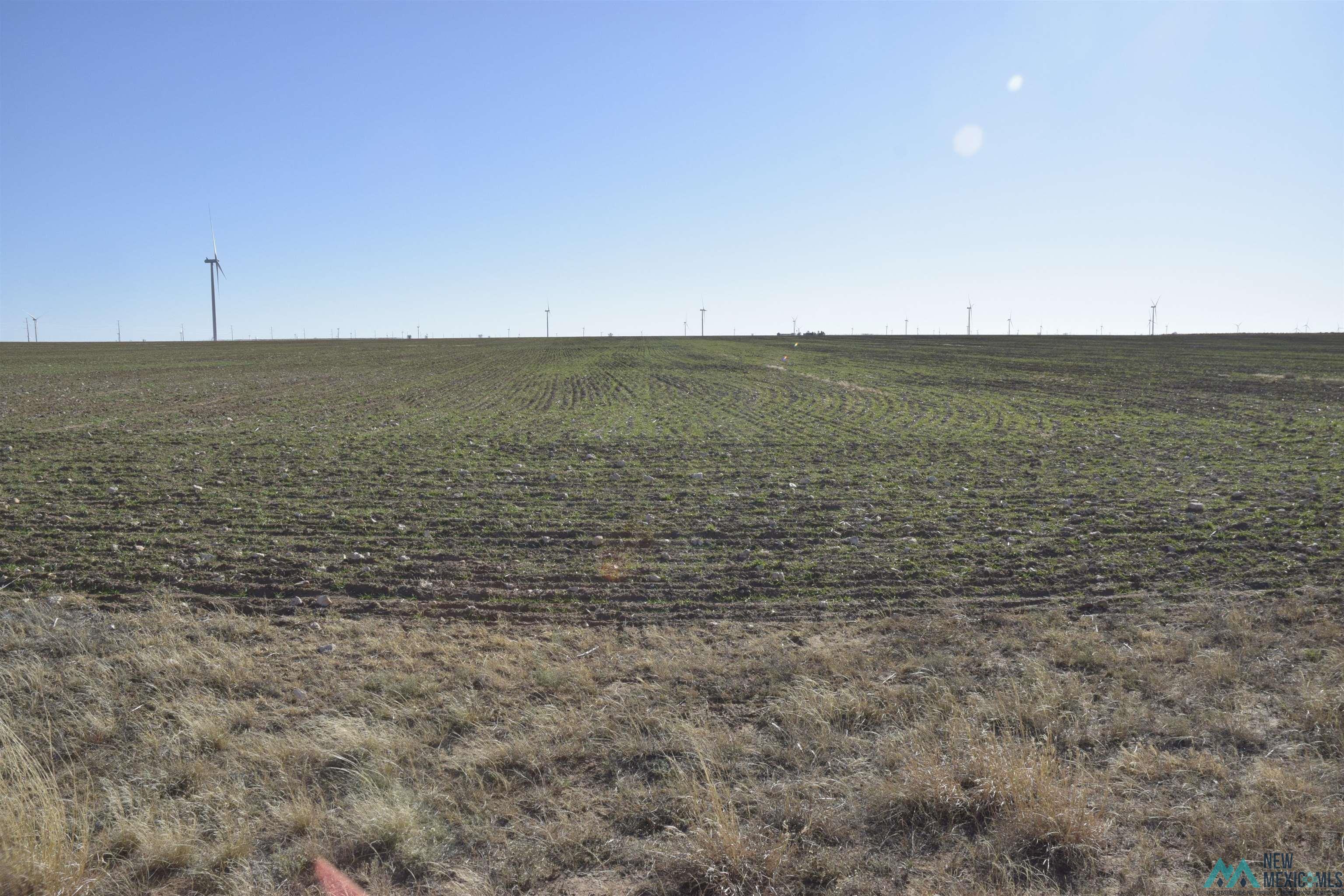 3260 Nm 114, Causey, New Mexico image 18