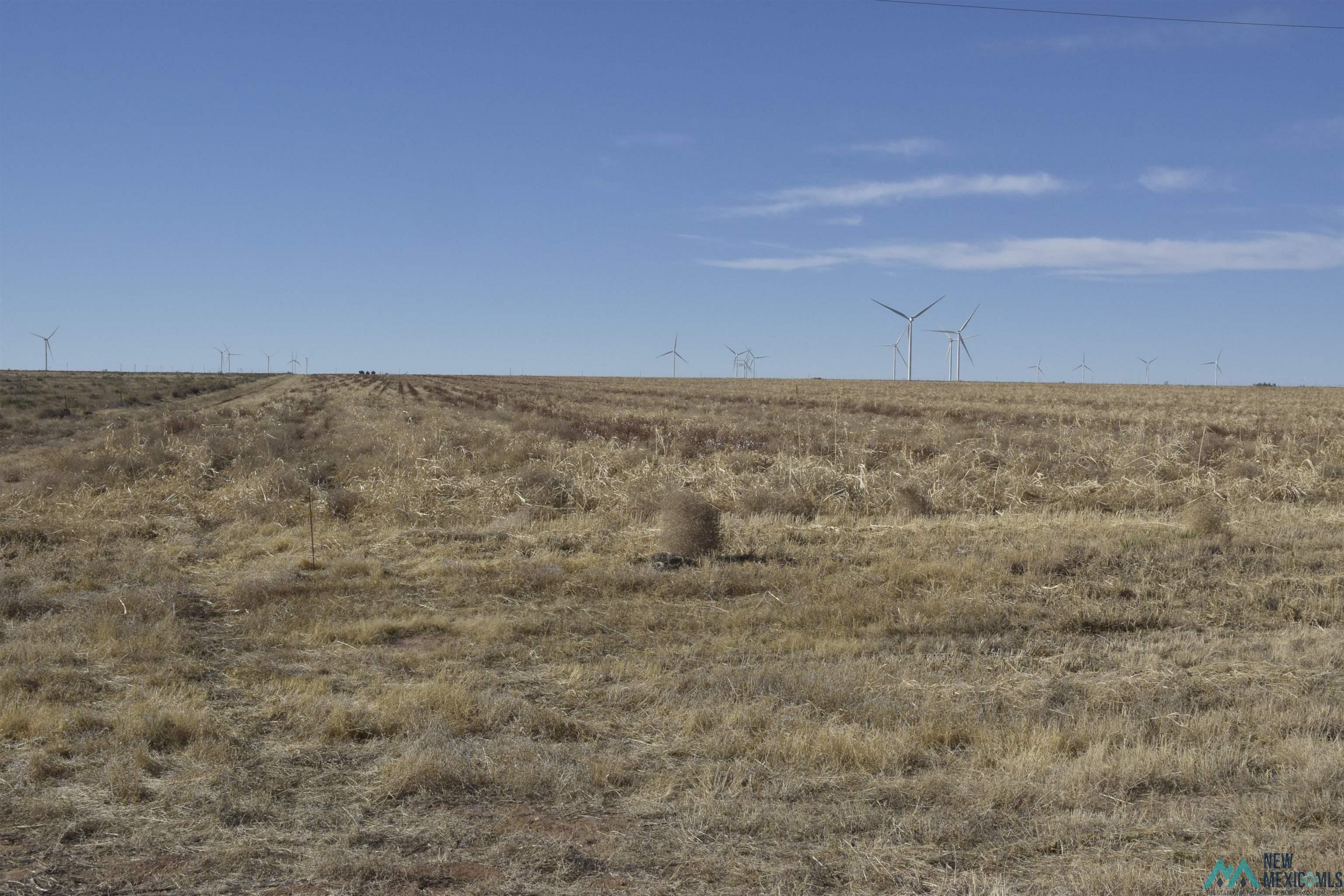 3260 Nm 114, Causey, New Mexico image 7