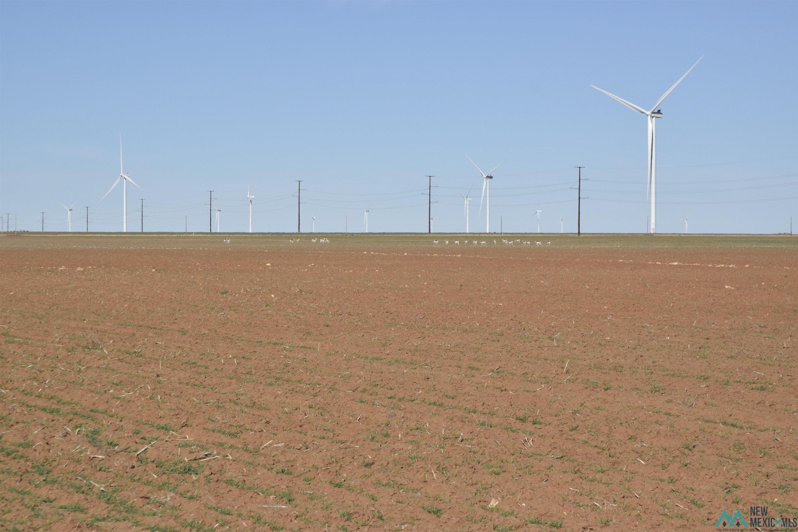 3260 Nm 114, Causey, New Mexico image 15