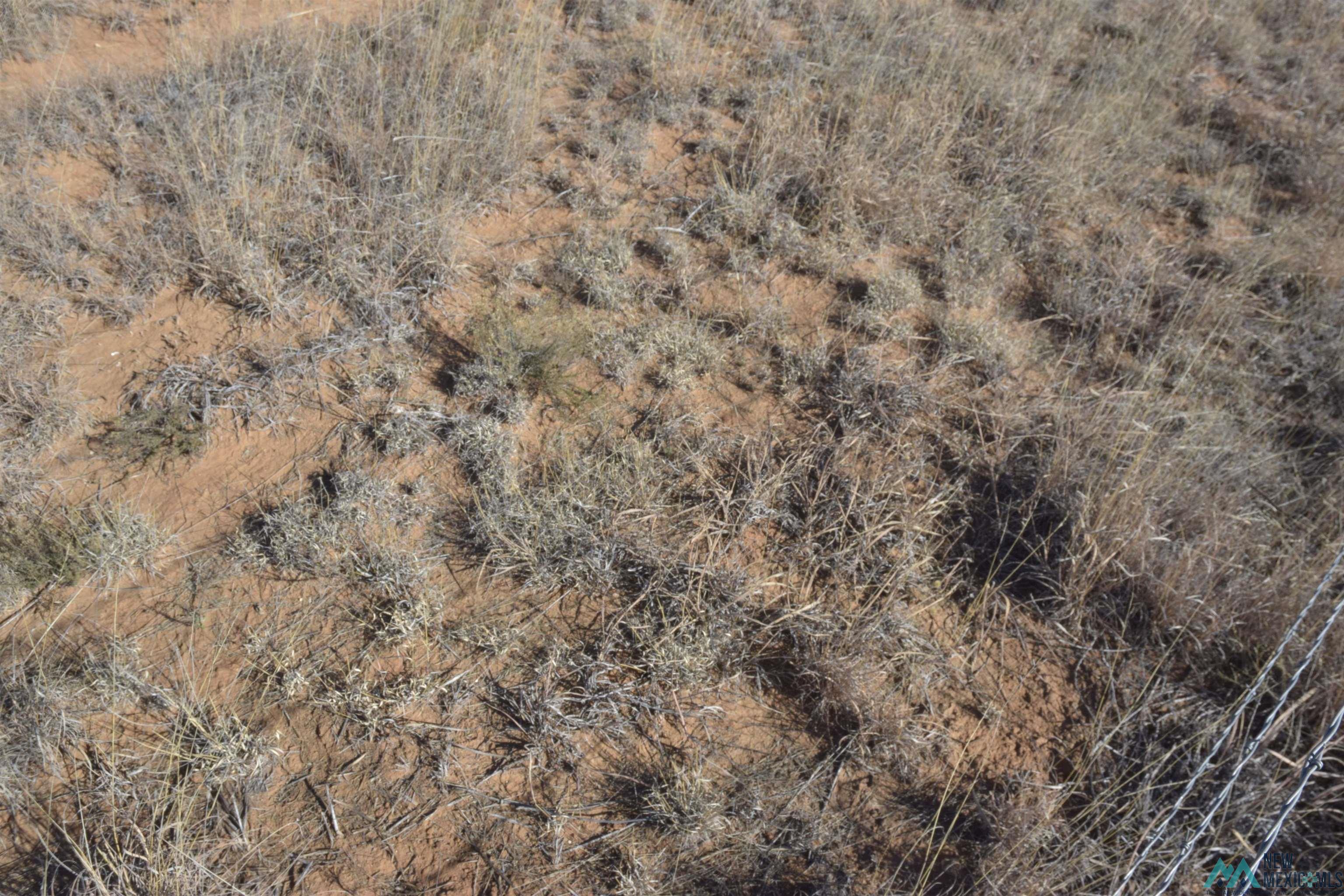 3260 Nm 114, Causey, New Mexico image 39