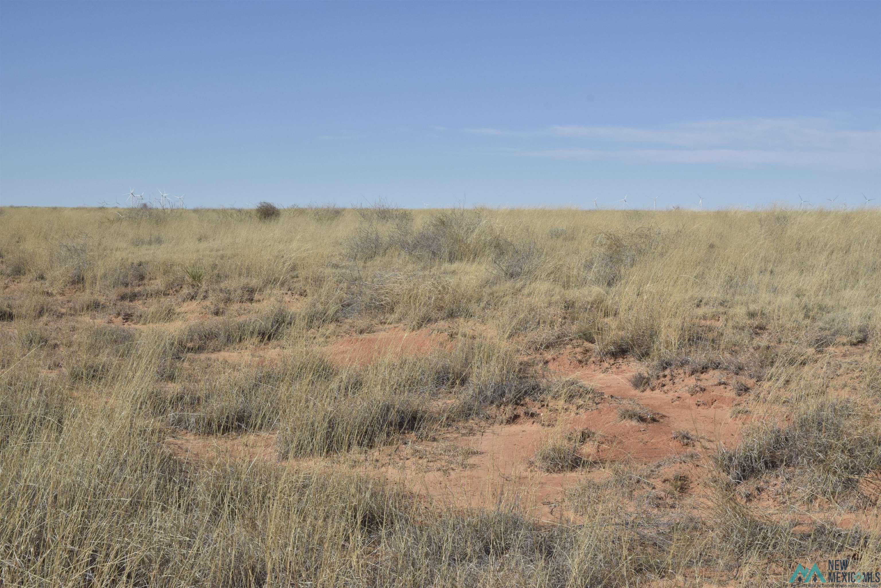 3260 Nm 114, Causey, New Mexico image 34