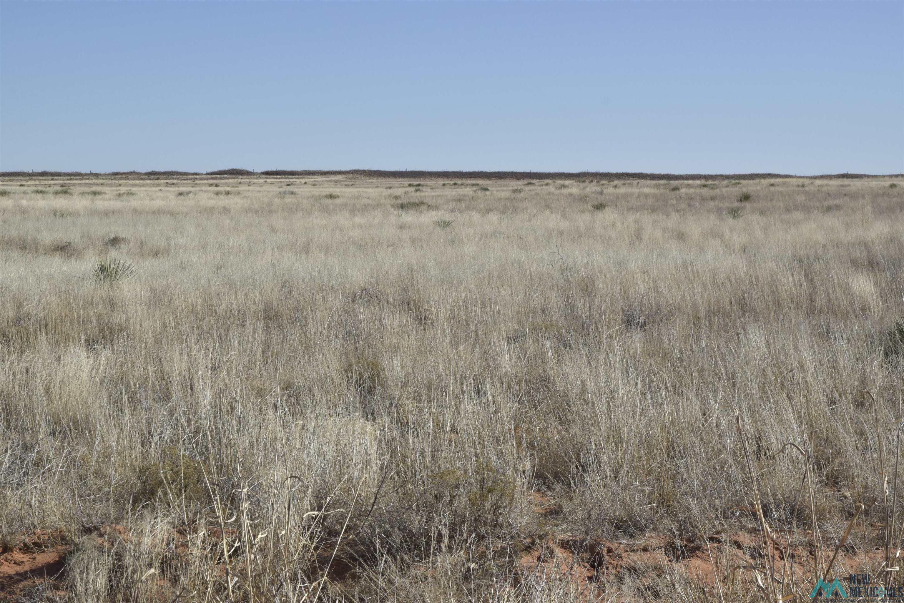 3260 Nm 114, Causey, New Mexico image 20