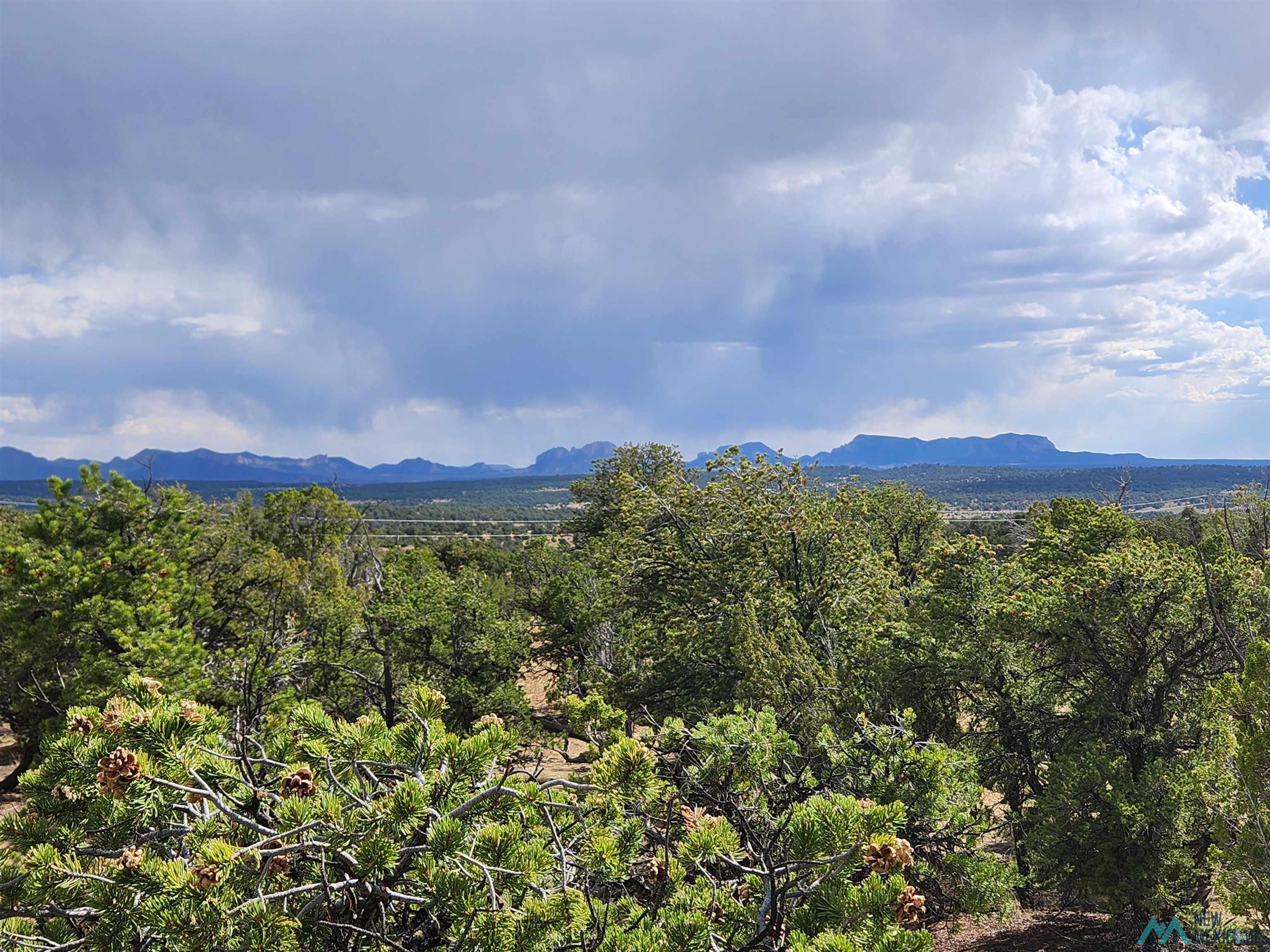 136 Ponderosa View Road, Pie Town, New Mexico image 13