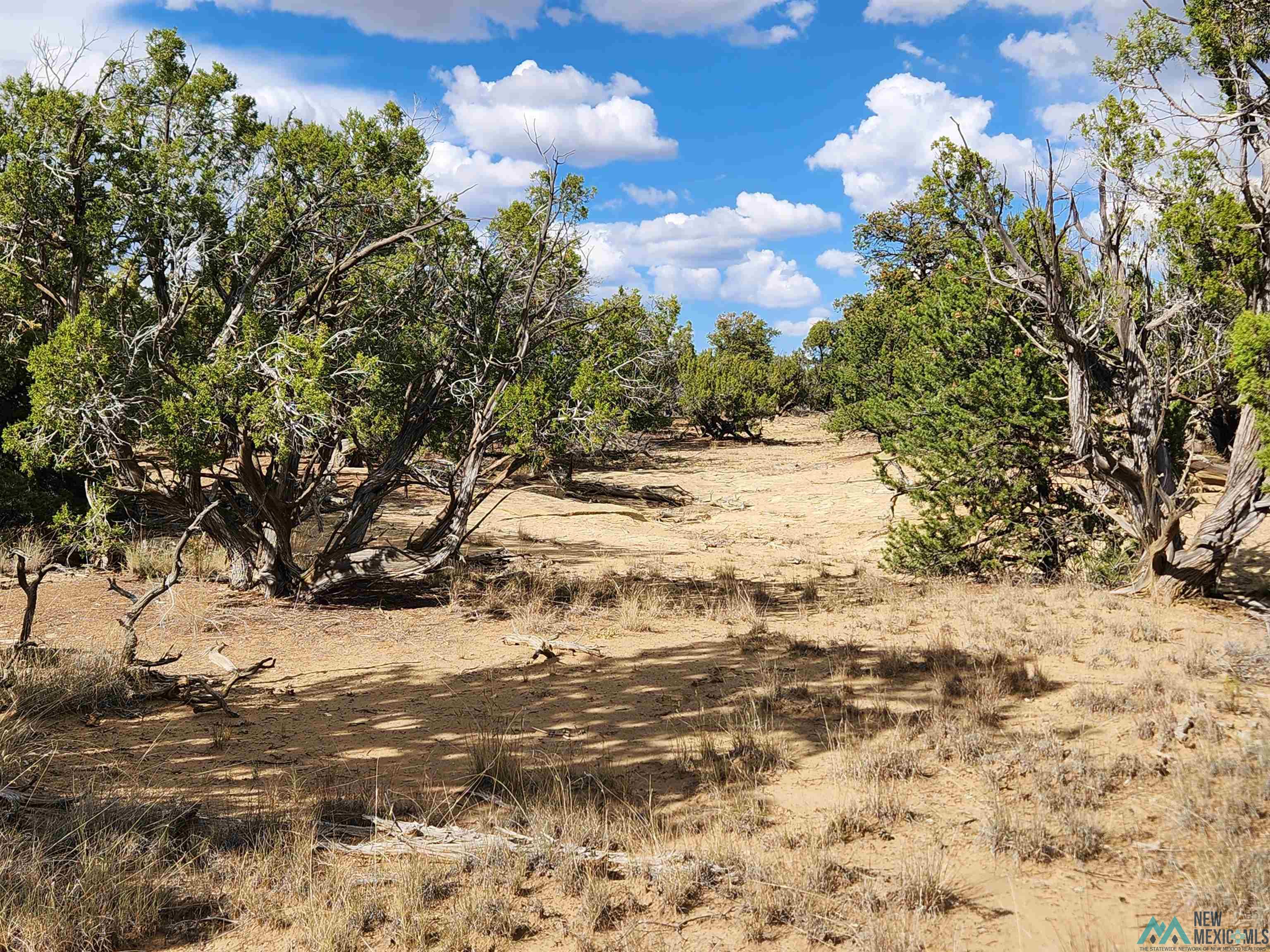 136 Ponderosa View Road, Pie Town, New Mexico image 11