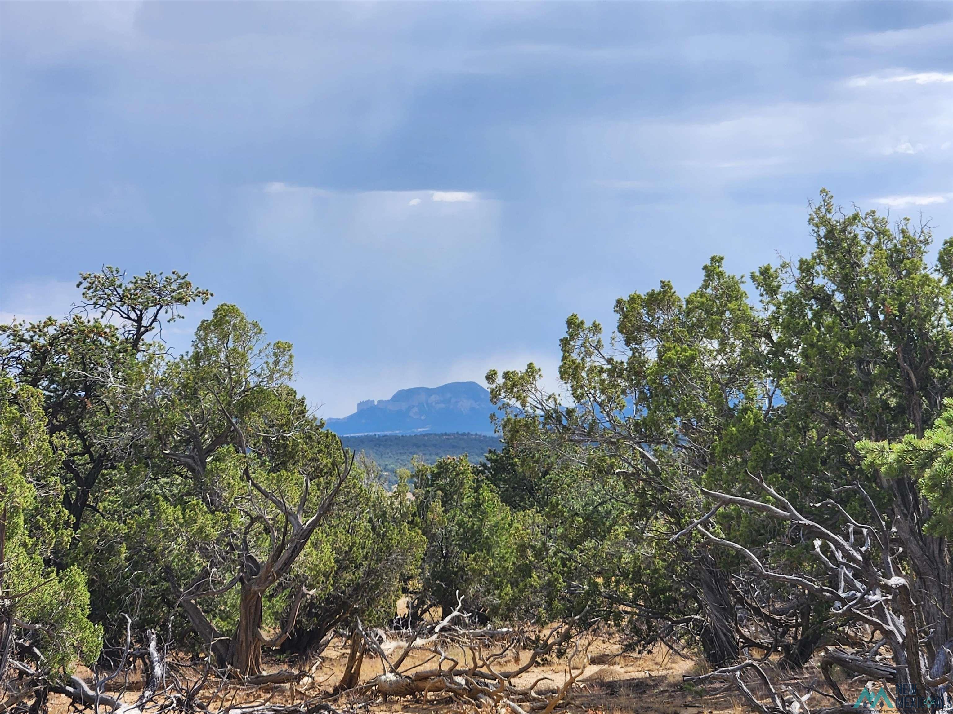 136 Ponderosa View Road, Pie Town, New Mexico image 3