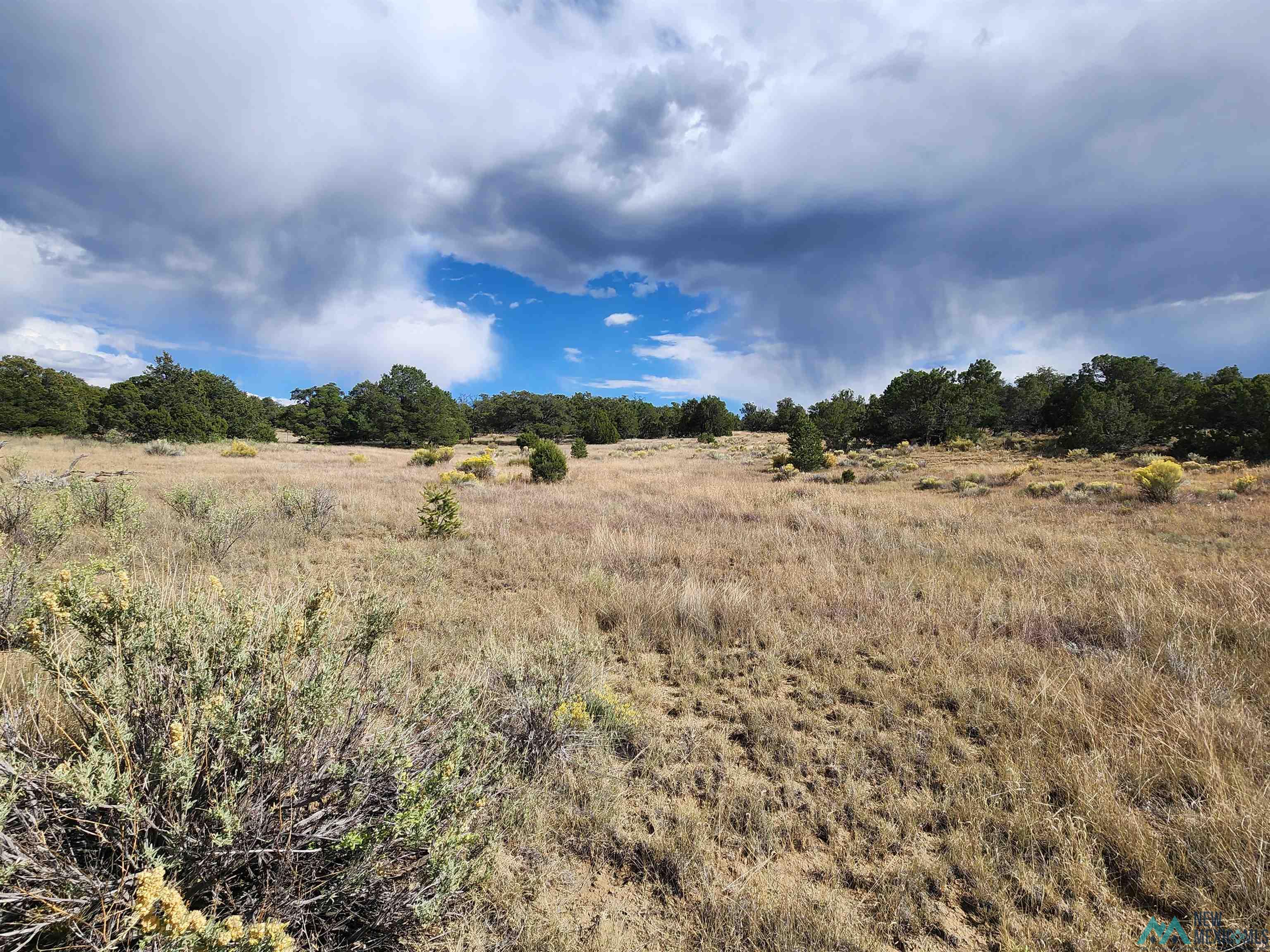 136 Ponderosa View Road, Pie Town, New Mexico image 9