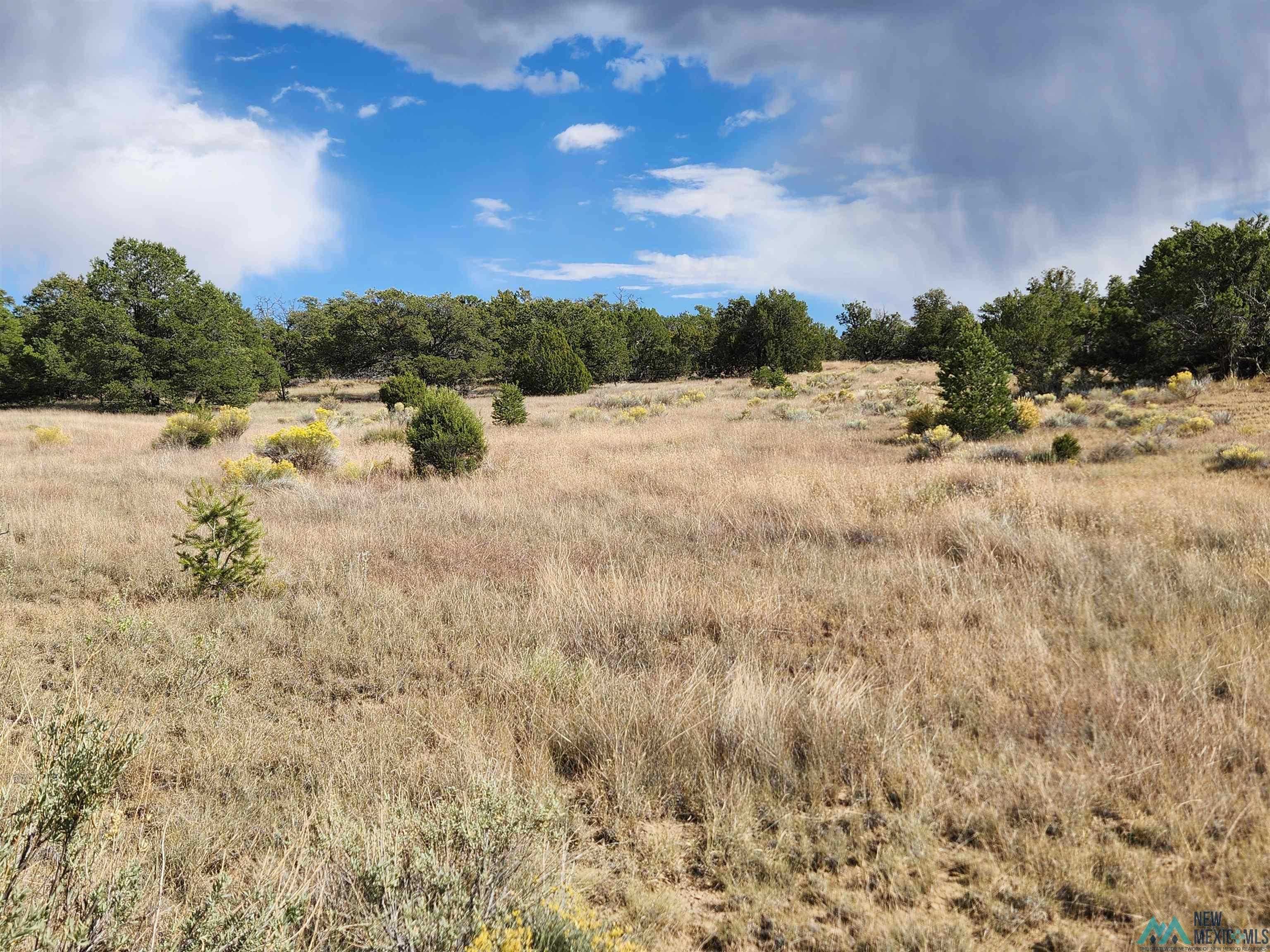 136 Ponderosa View Road, Pie Town, New Mexico image 4