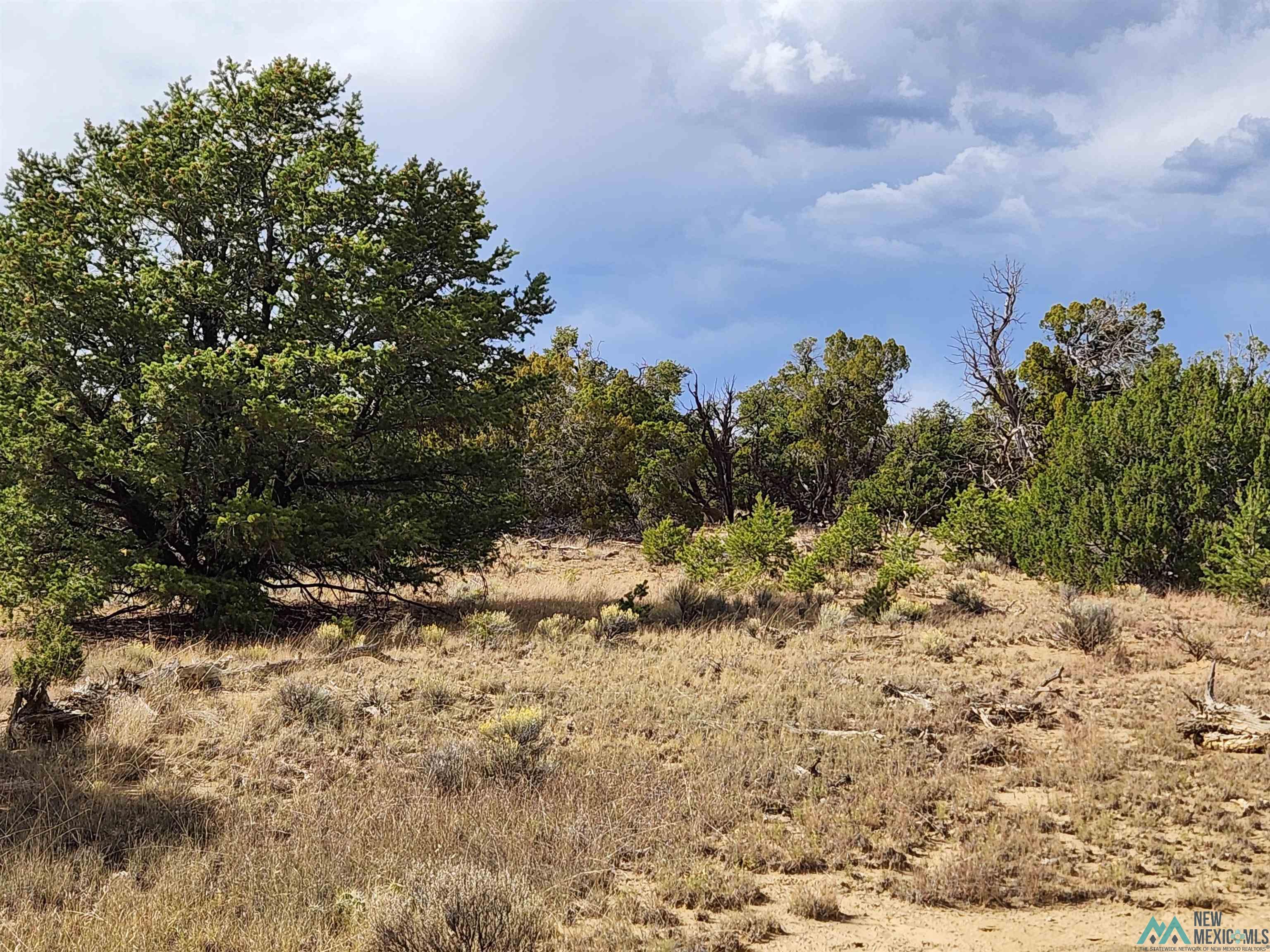 136 Ponderosa View Road, Pie Town, New Mexico image 8