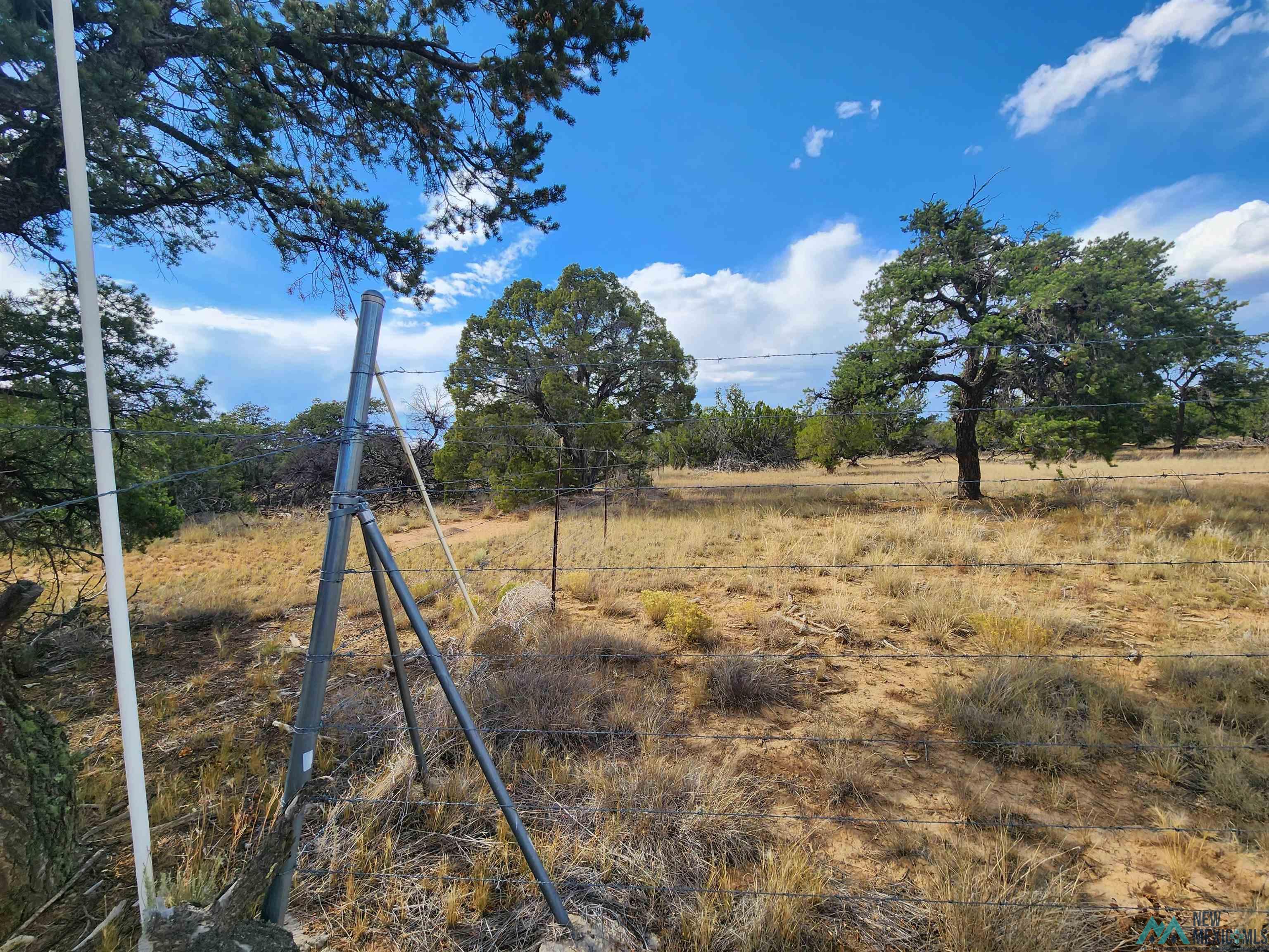 136 Ponderosa View Road, Pie Town, New Mexico image 15