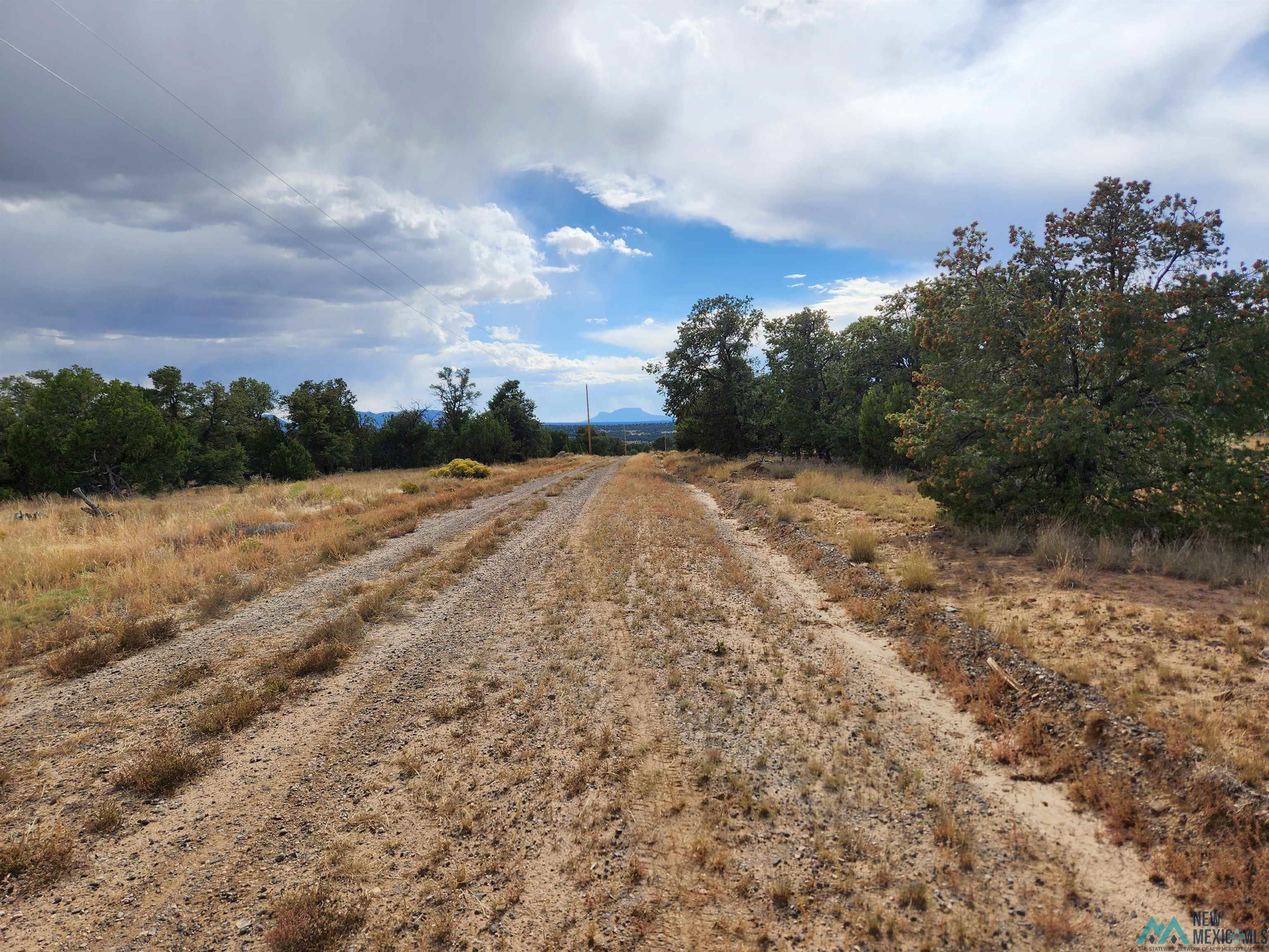 136 Ponderosa View Road, Pie Town, New Mexico image 16