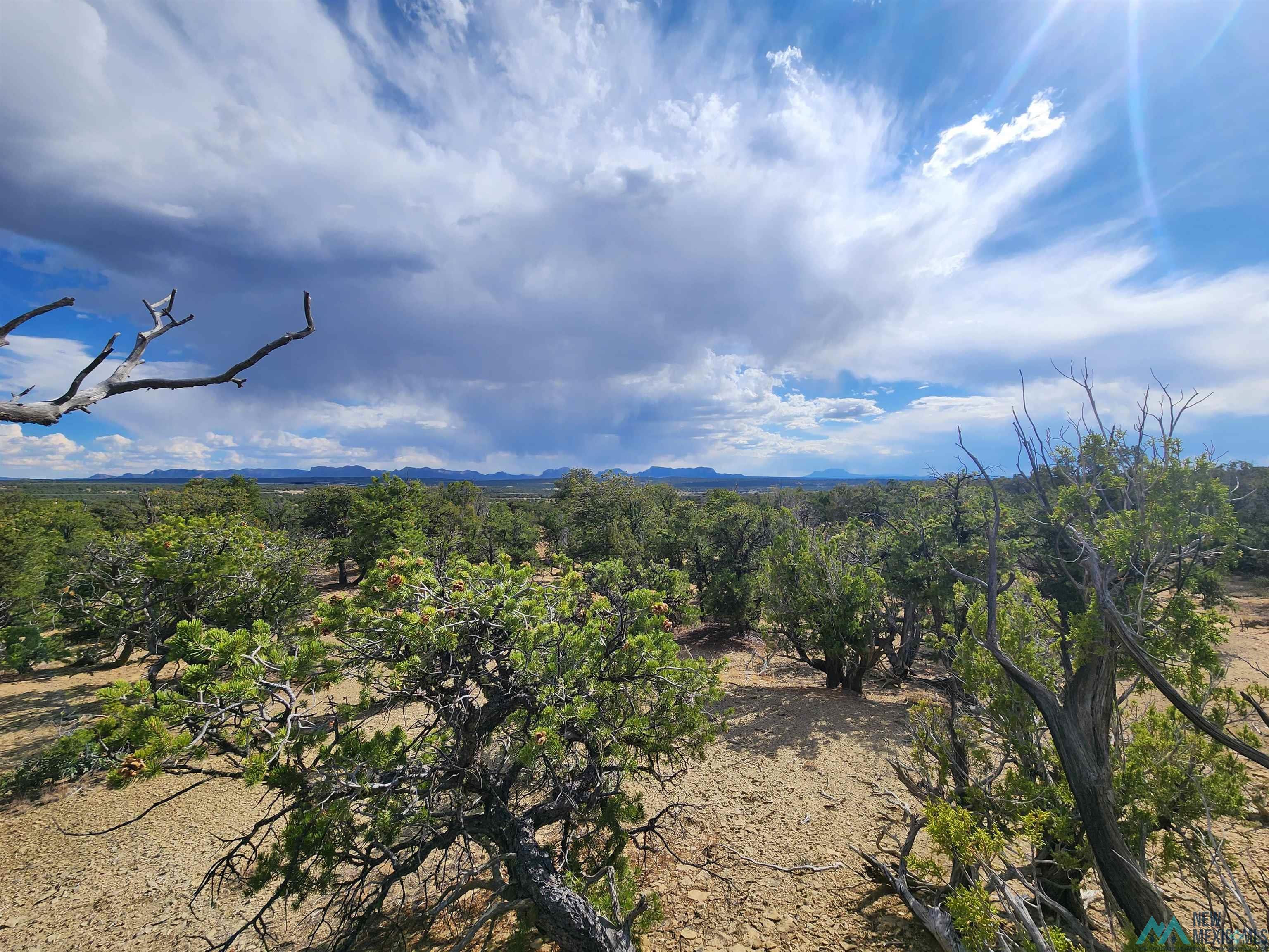 136 Ponderosa View Road, Pie Town, New Mexico image 12