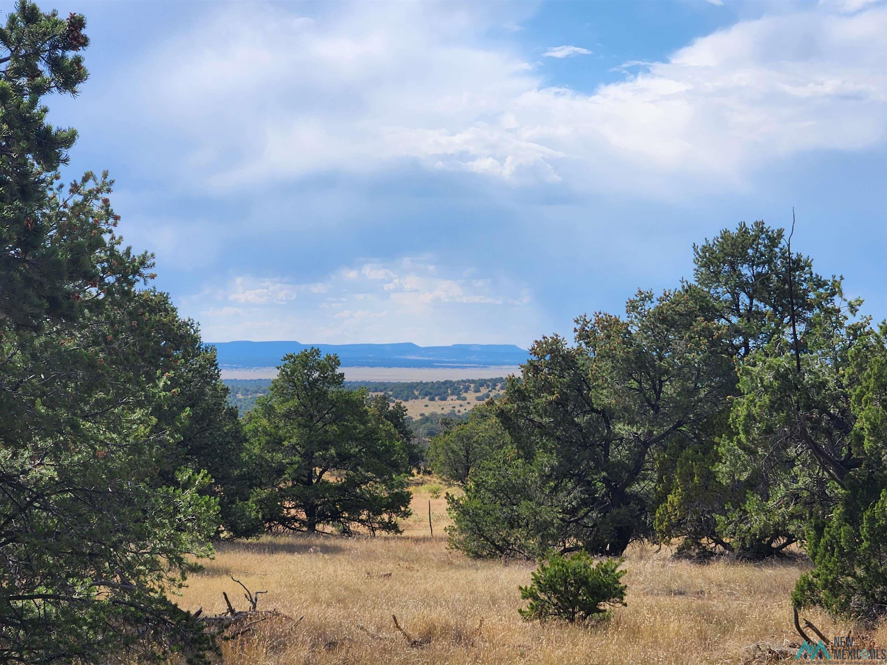 136 Ponderosa View Road, Pie Town, New Mexico image 1