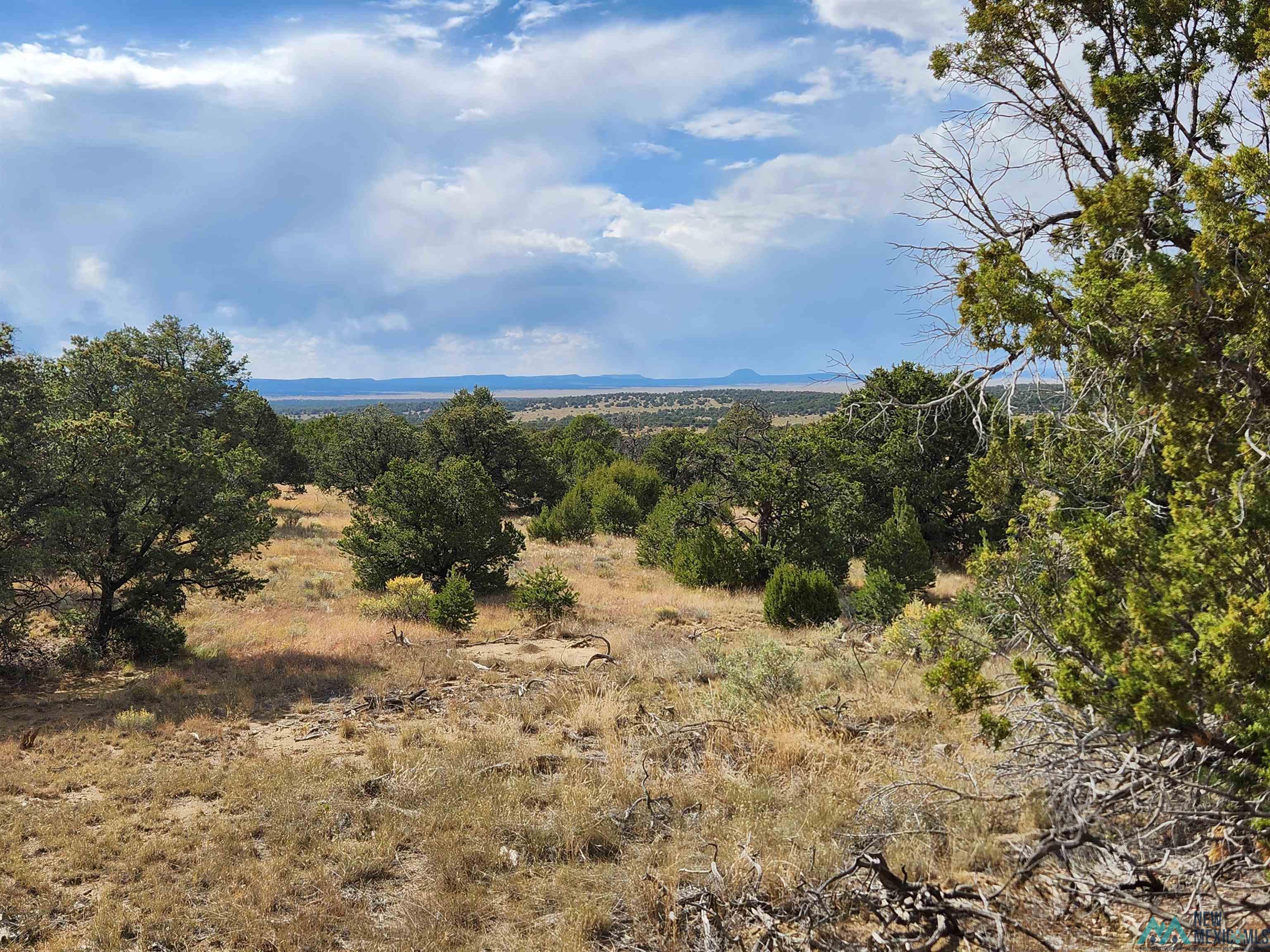 136 Ponderosa View Road, Pie Town, New Mexico image 5