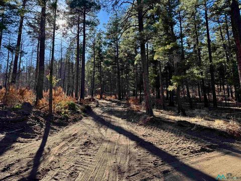 Vacant Land For Sale - 4.41 W Canyon Loop, Mora<br/> Mora, NM 87732