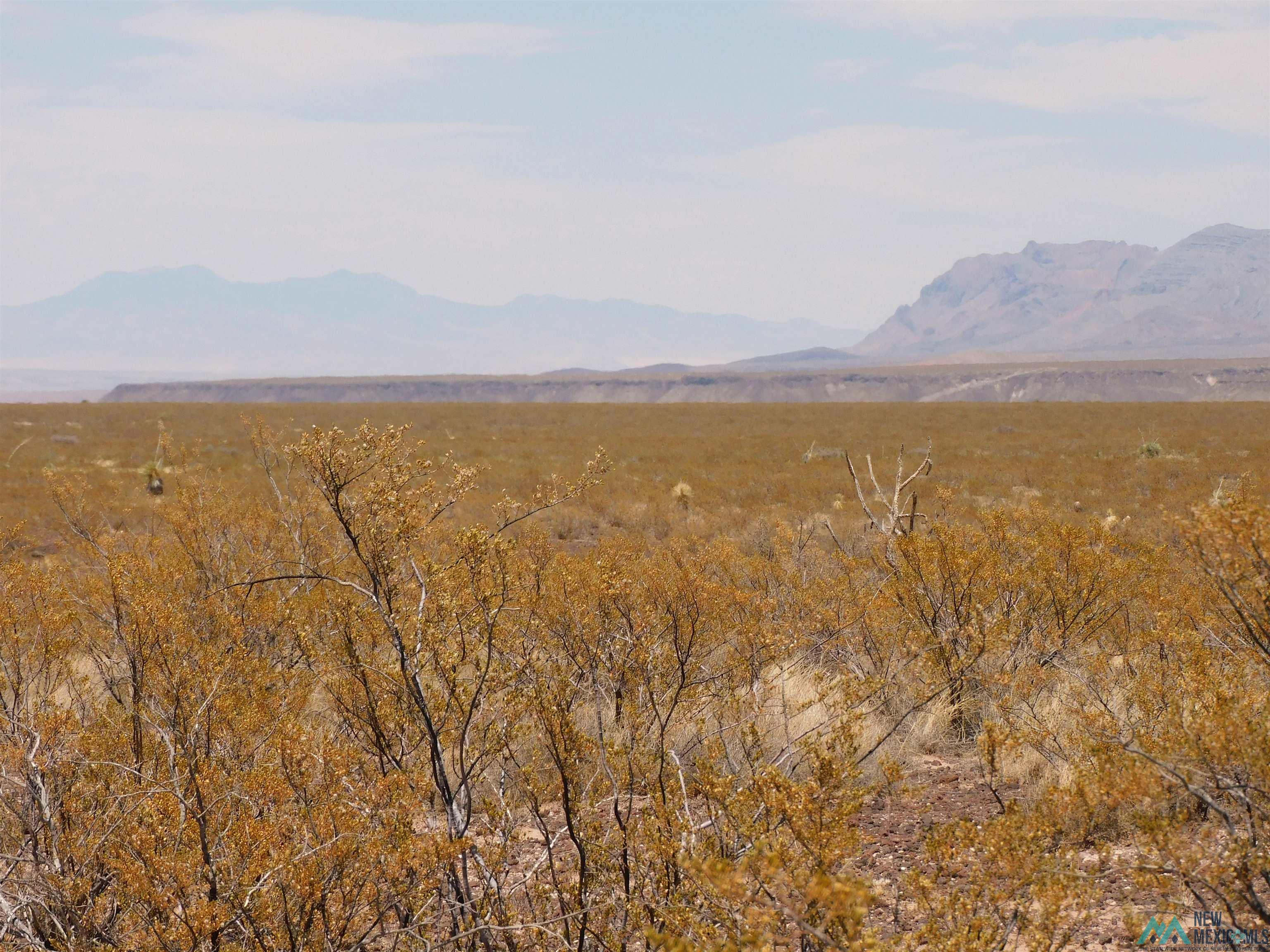 35 Armendariz Road, Truth Or Consequences, New Mexico image 30