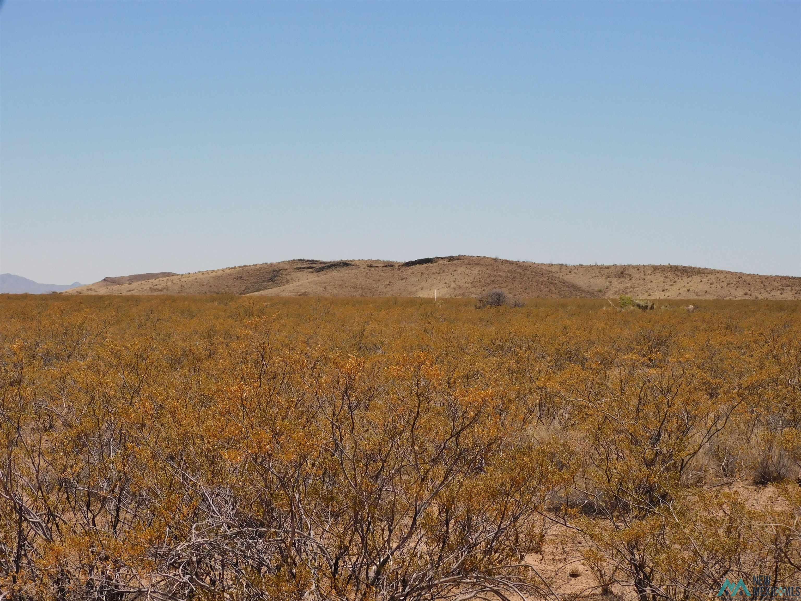 35 Armendariz Road, Truth Or Consequences, New Mexico image 20