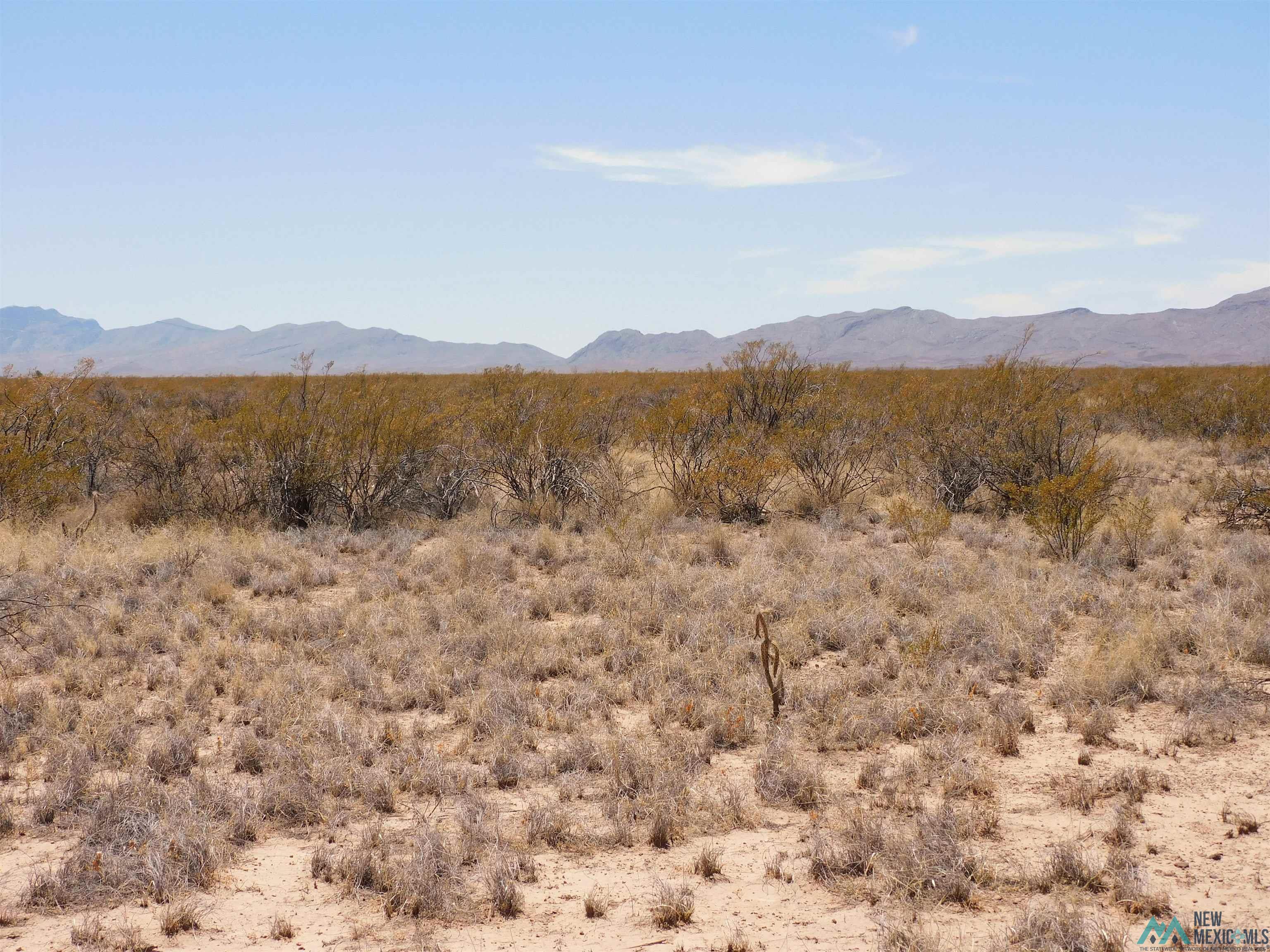 35 Armendariz Road, Truth Or Consequences, New Mexico image 23