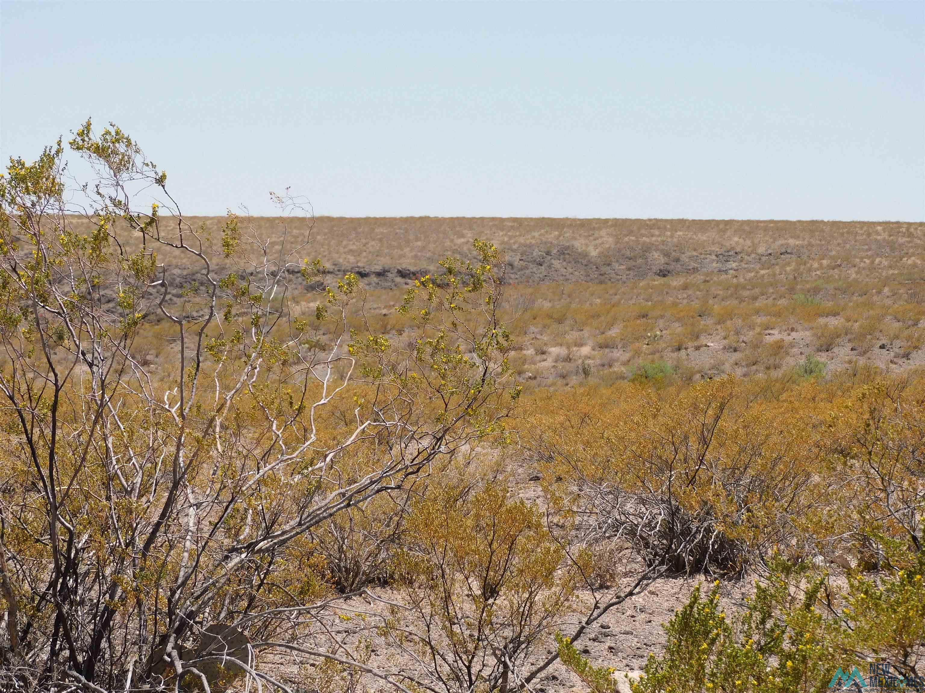 35 Armendariz Road, Truth Or Consequences, New Mexico image 6